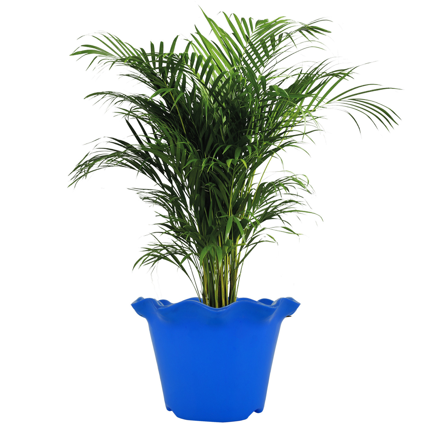 Kuber Industries Blossom Flower Pot|Durable Plastic Flower Pot|Gamla With Drain Holes for Home Décor|Balcony|Garden|8 Inch (Blue)