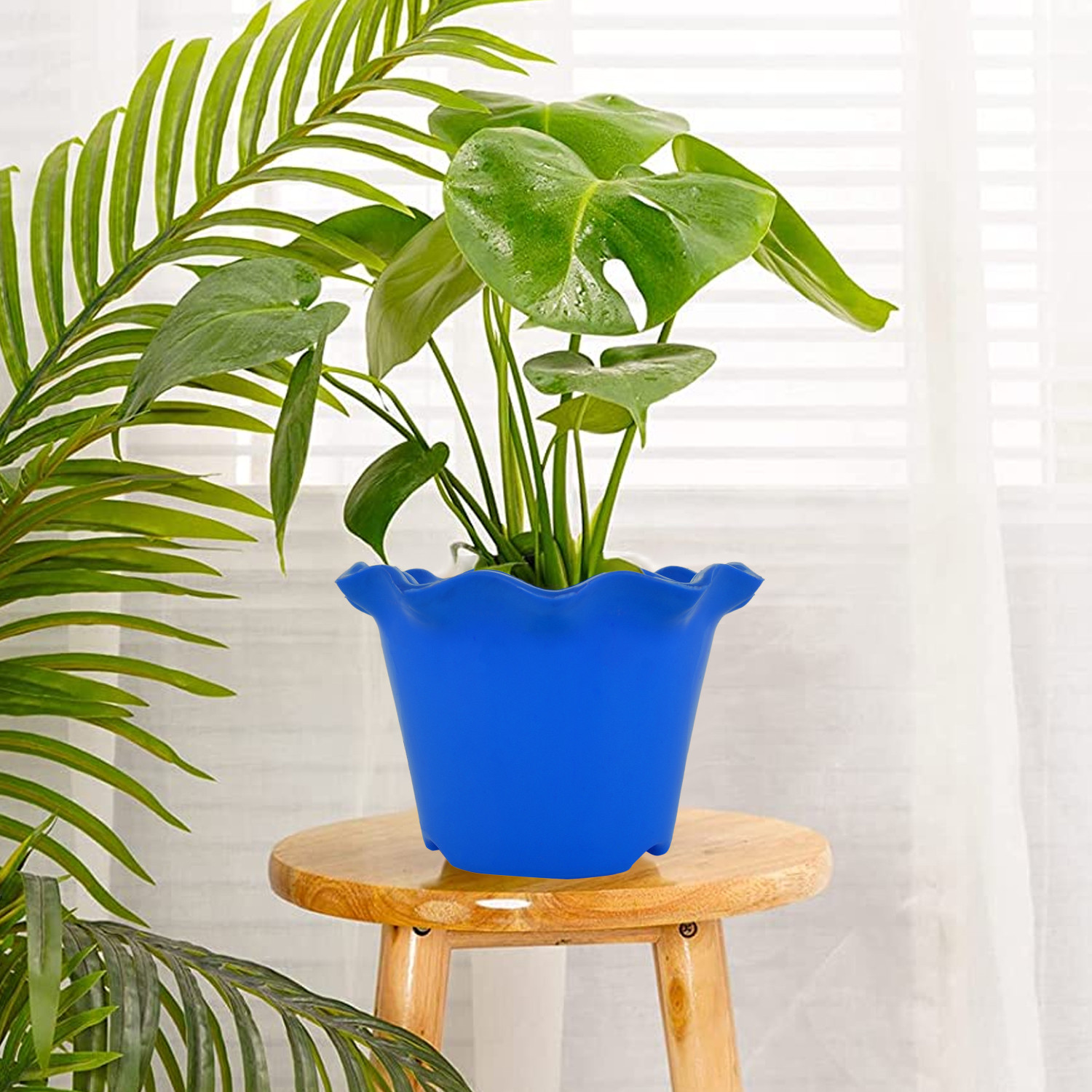 Kuber Industries Blossom Flower Pot|Durable Plastic Flower Pot|Gamla With Drain Holes for Home Décor|Balcony|Garden|8 Inch|Pack of 2 (White & Blue)
