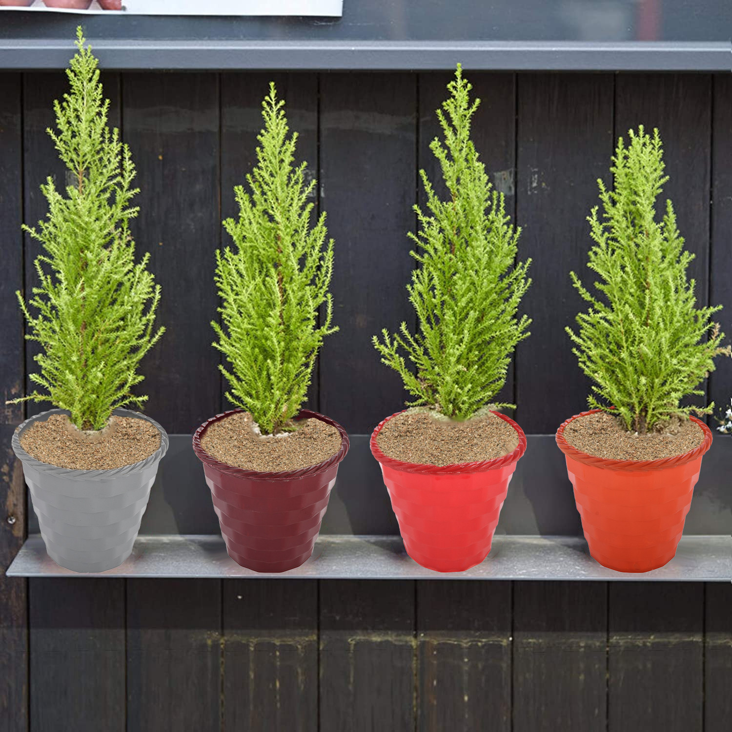 Kuber Industries Brick Flower Pot|Durable Plastic Flower Pots|Planters for Home Décor|Garden|Living Room|Balcony|8 Inch|Pack of 2 (Red & Golden)