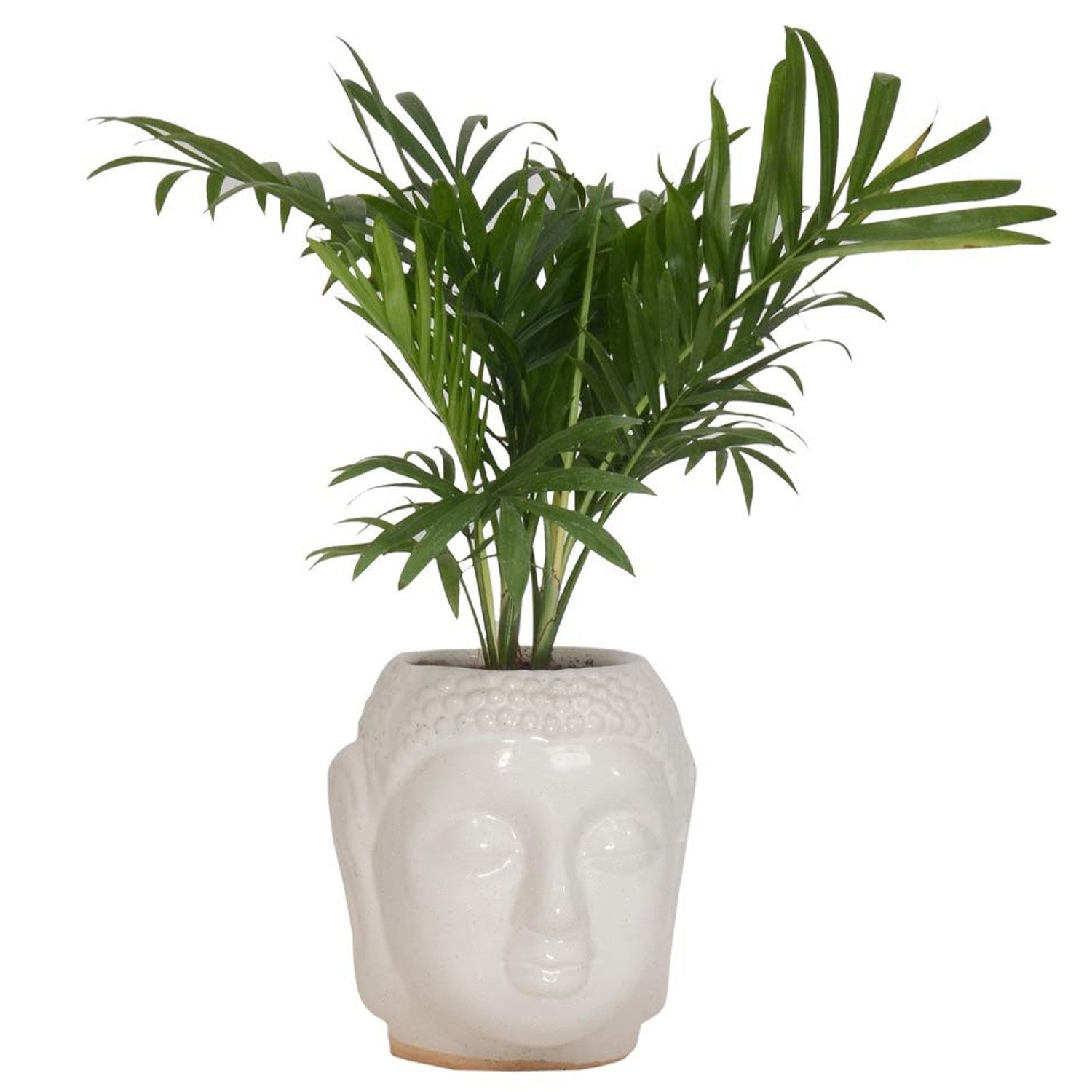 Kuber Industries Buddha Flower Pot|Buddha Head Shape Flower Planter|Plastic Flower Plant for Home Décor|Office Décor (White)