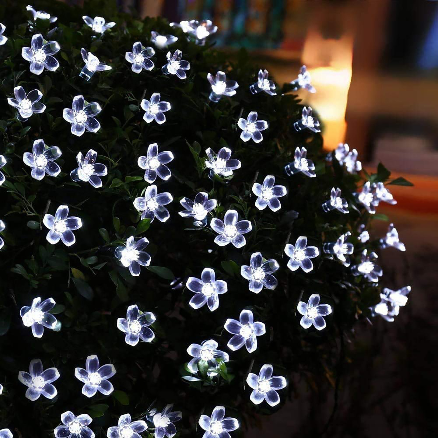 Kuber Industries Cherry Blossom Flower Shape String Lights|Home Decoration Brown Lights|String Fairy Lights for Birthday Party,Christmas,Diwali,14 LED (Warm White)