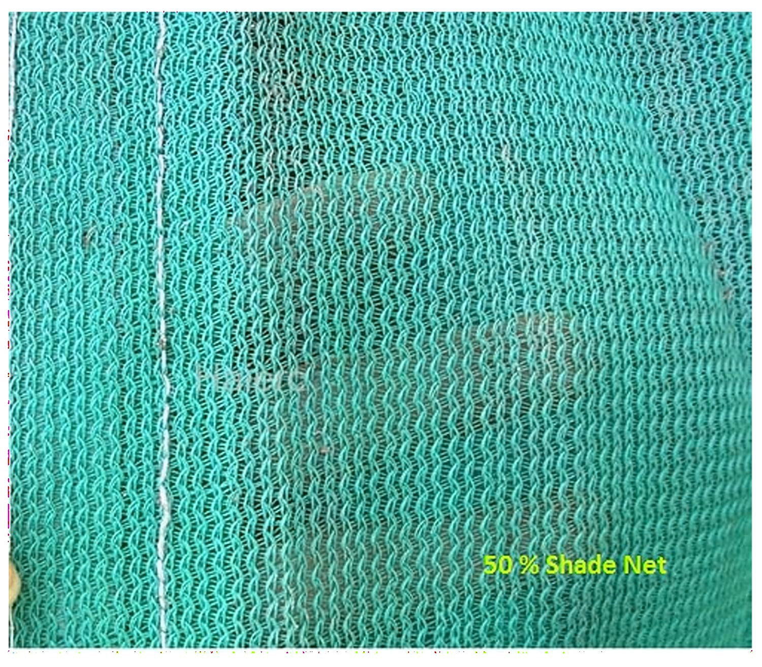 Kuber Industries Dark Green Sun Shade Sail Square Canopy - Permeable UV Block Fabric Durable Outdoor-25 x 15 ft. (Green)
