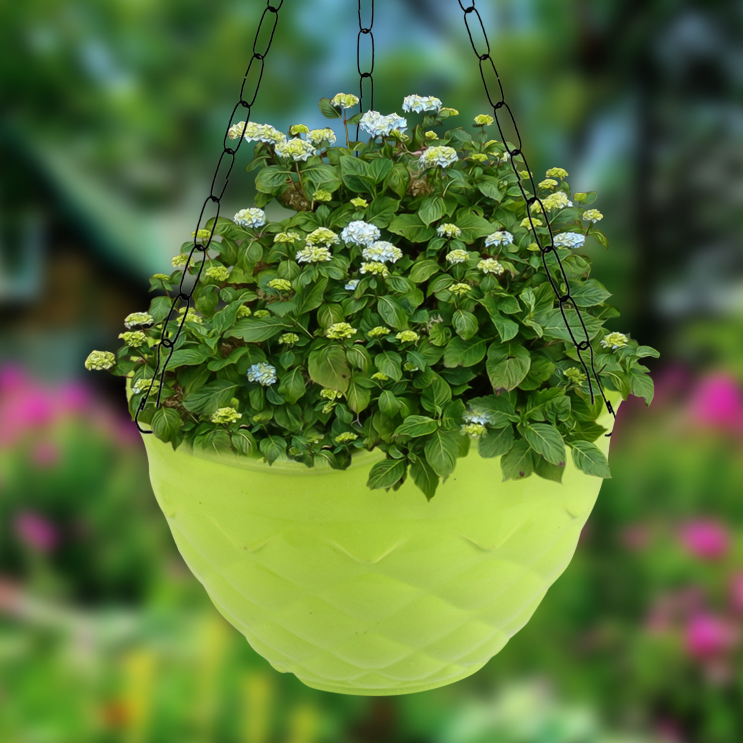 Kuber Industries Diamond Flower Pot|Durable Plastic Hanging Basket Flower Planter with Chain for Home|Garden|Balcony (Green)
