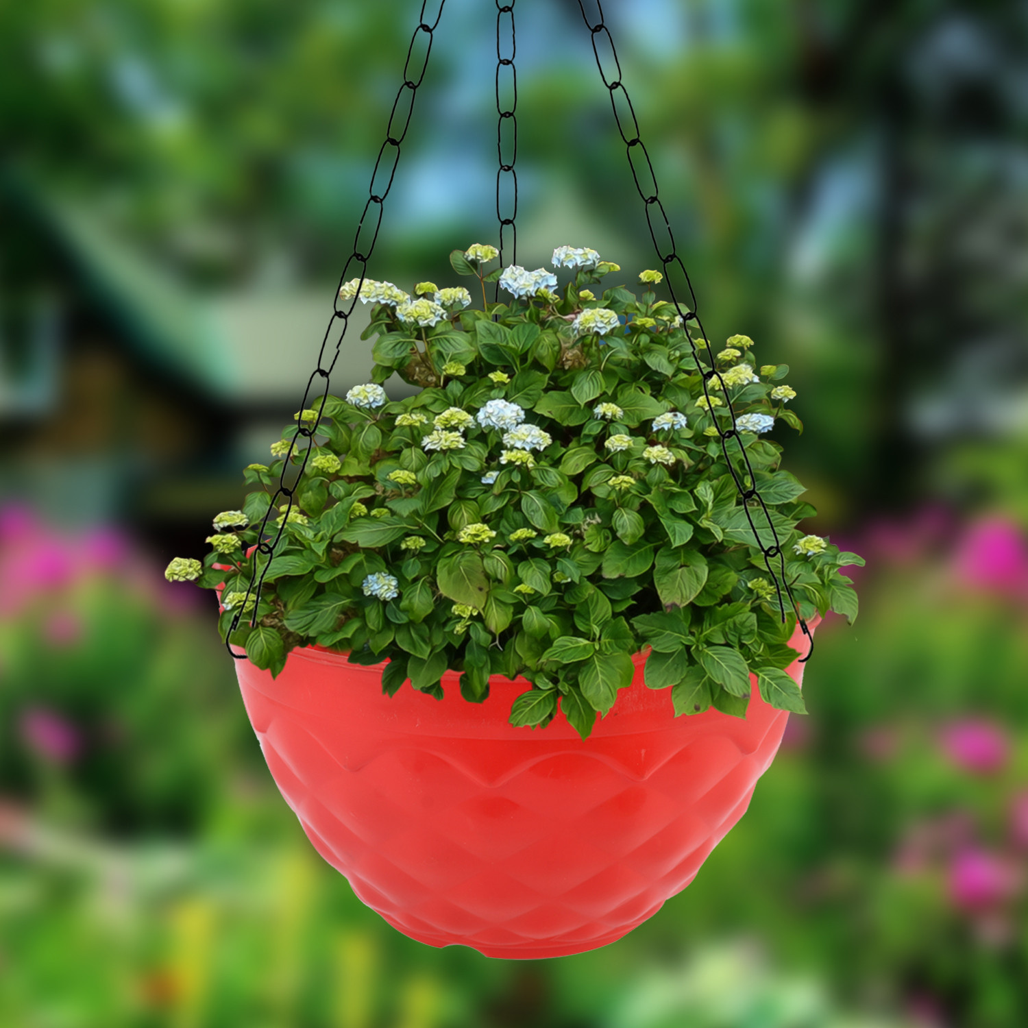 Kuber Industries Diamond Flower Pot|Durable Plastic Hanging Basket Flower Planter with Chain for Home|Garden|Balcony|Pack of 2 (Red & Green)