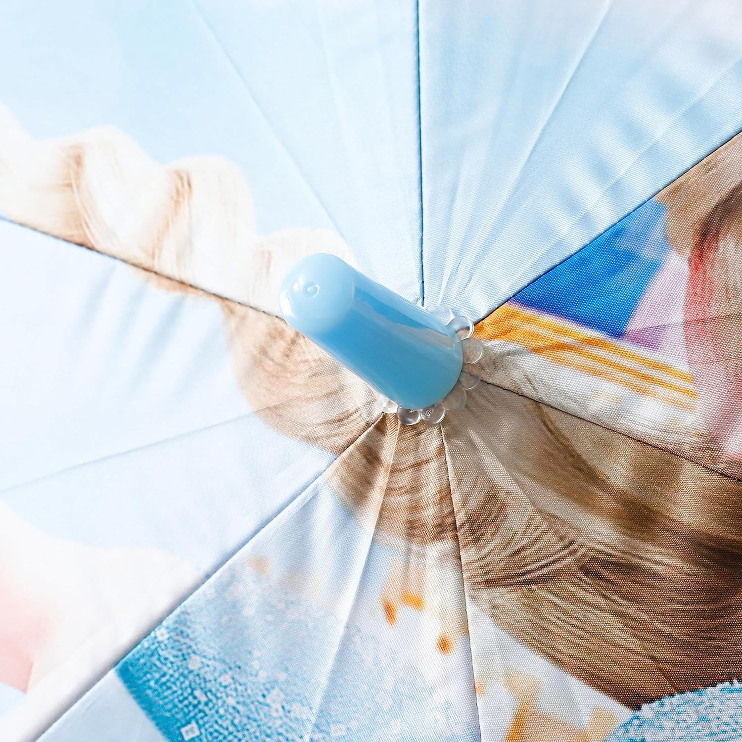 Kuber Industries Disney Frozen Print Umbrella For Kids|Automatic Umbrella For Rain (Sky Blue)