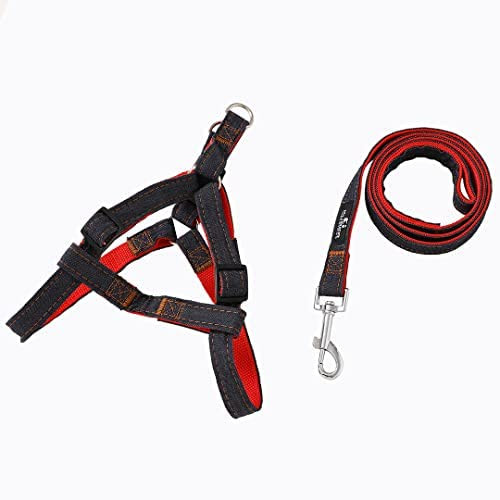 Dog belt on sale and chain