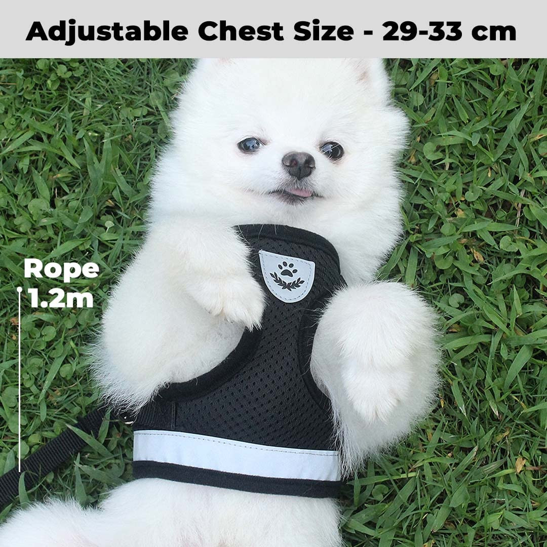 Kuber Industries Dog Chest Harness with Nylon Leash I No Pull, Soft Padded and Breathable Dog Vest I Adjustable, Reflective I Easy Control Dog Chest Belt I (Small, Black)