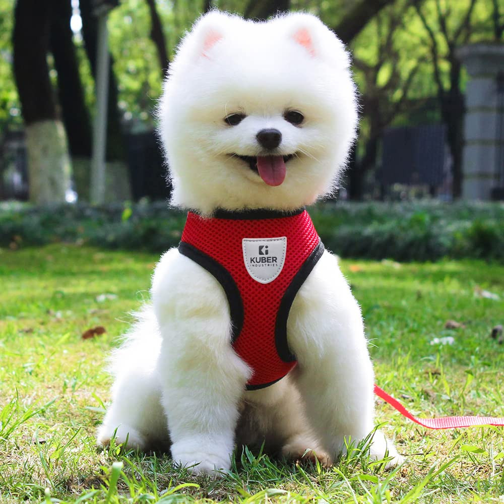 Kuber Industries Dog Harness with Adjustable Leash | Breathable Polyester Mesh | Large Size | HAT-818 | Comfortable No-Pull Grip | Quick Release Buckles | Red | Comfortable and Secure Dog Harness