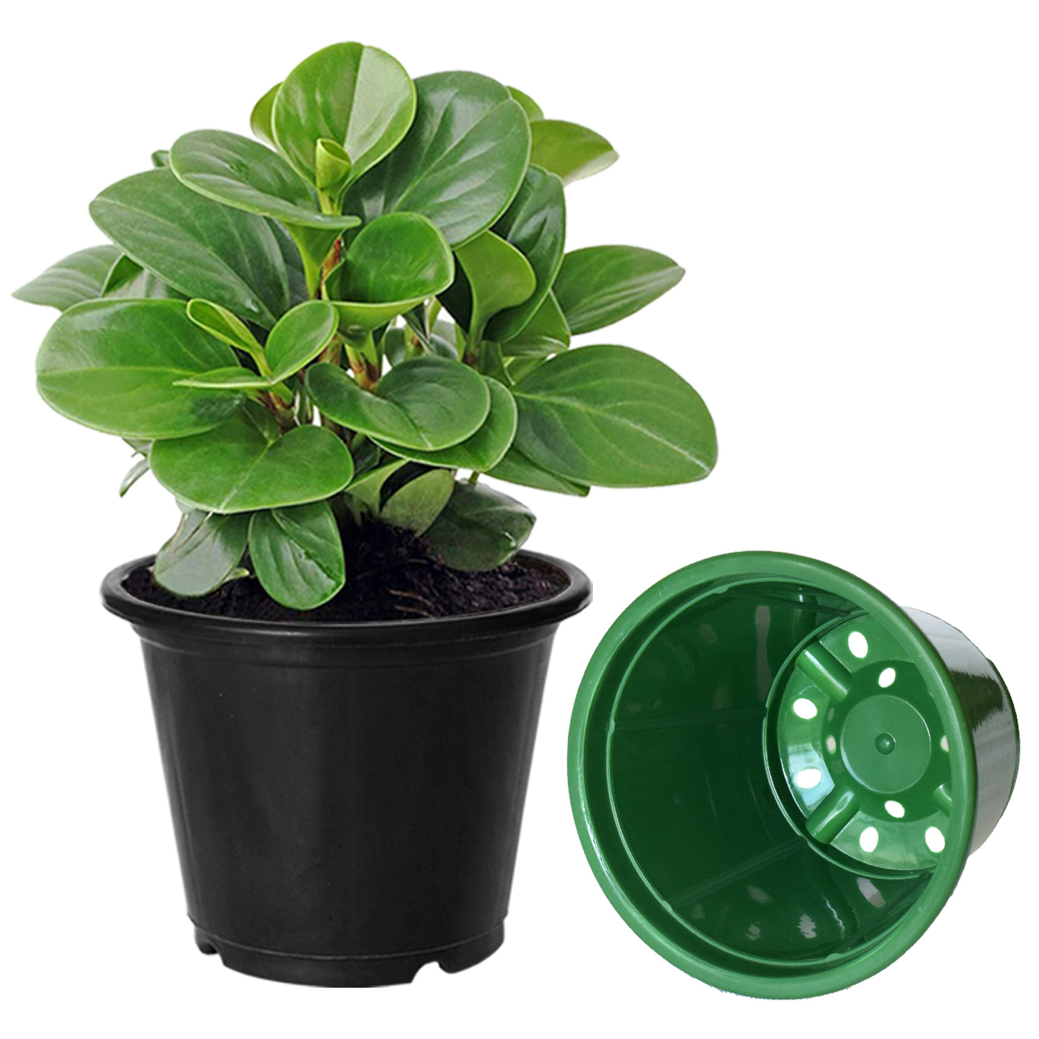 Kuber Industries Durable Plastic Flower Pot|Gamla for Indoor Home Decor & Outdoor Balcony,Garden,6