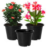 Kuber Industries Durable Plastic Flower Pot|Gamla With Drain Holes for Indoor Home Decor &amp; Outdoor Balcony,Garden,6&quot;x5&quot;,(Black)