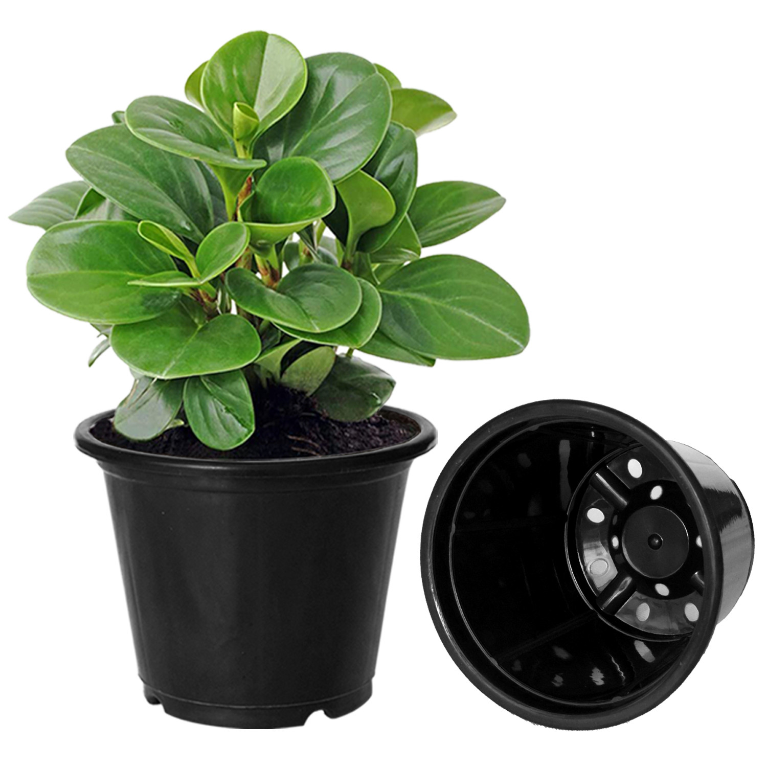 Kuber Industries Durable Plastic Flower Pot|Gamla With Drain Holes for Indoor Home Decor & Outdoor Balcony,Garden,6