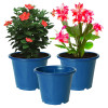 Kuber Industries Durable Plastic Flower Pot|Gamla With Drain Holes for Indoor Home Decor &amp; Outdoor Balcony,Garden,6&quot;x5&quot;,(Blue)