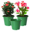Kuber Industries Durable Plastic Flower Pot|Gamla With Drain Holes for Indoor Home Decor &amp; Outdoor Balcony,Garden,6&quot;x5&quot;,(Green)