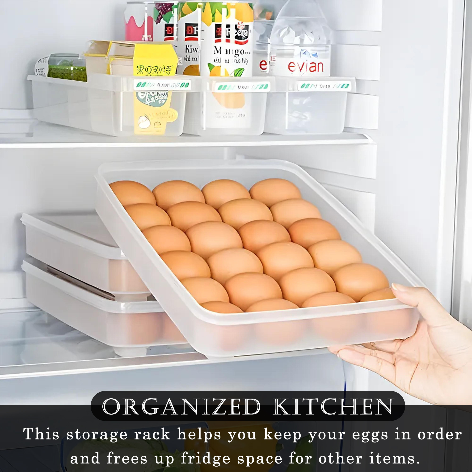 Kuber Industries Egg Tray  Eggs Dispenser with Lid  24 Eggs Kitchen Storage Container  Storage Rack  Plastic Egg Tray 930  Transparent