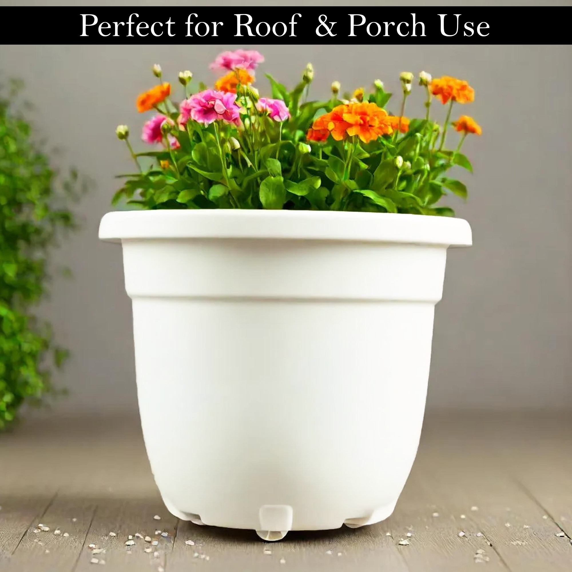Kuber Industries es Portable Plastic Plant Pot for Home Decor with Removable Wheels  Aesthetic  Easy to Move Pot for Plants - Ideal for Indoor  Outdoor Plants  White
