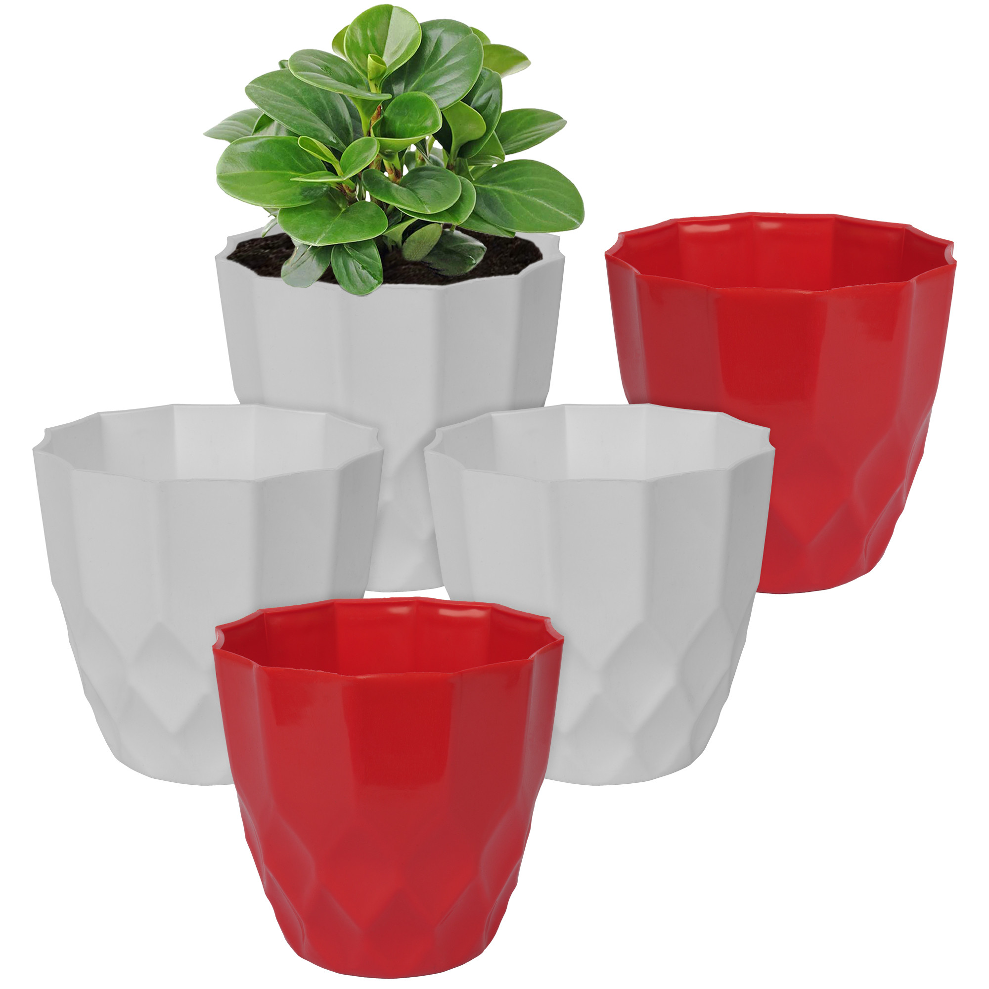 Kuber Industries Flower Pot | Flower Planter Pots for Indoor | Flower Pots for Outdoor | Pot for Garden & Balcony Flowering | Flower Plants Pot | Barfi Flower Pot | 6 Inch | Pack of 5 | Multi