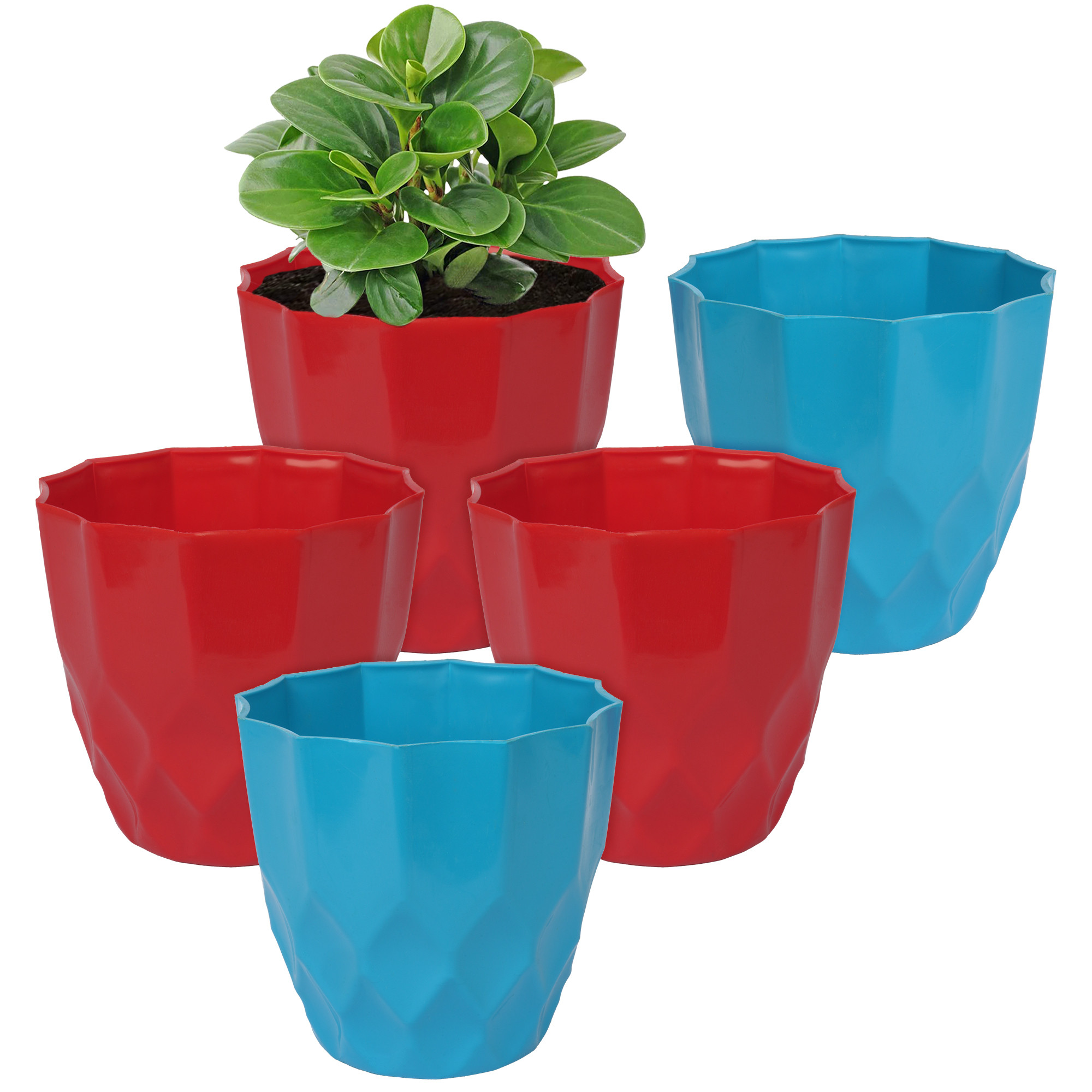 Kuber Industries Flower Pot | Flower Planter Pots for Indoor | Flower Pots for Outdoor | Pot for Garden & Balcony Flowering | Flower Plants Pot | Barfi Flower Pot | 6 Inch | Pack of 5 | Multi