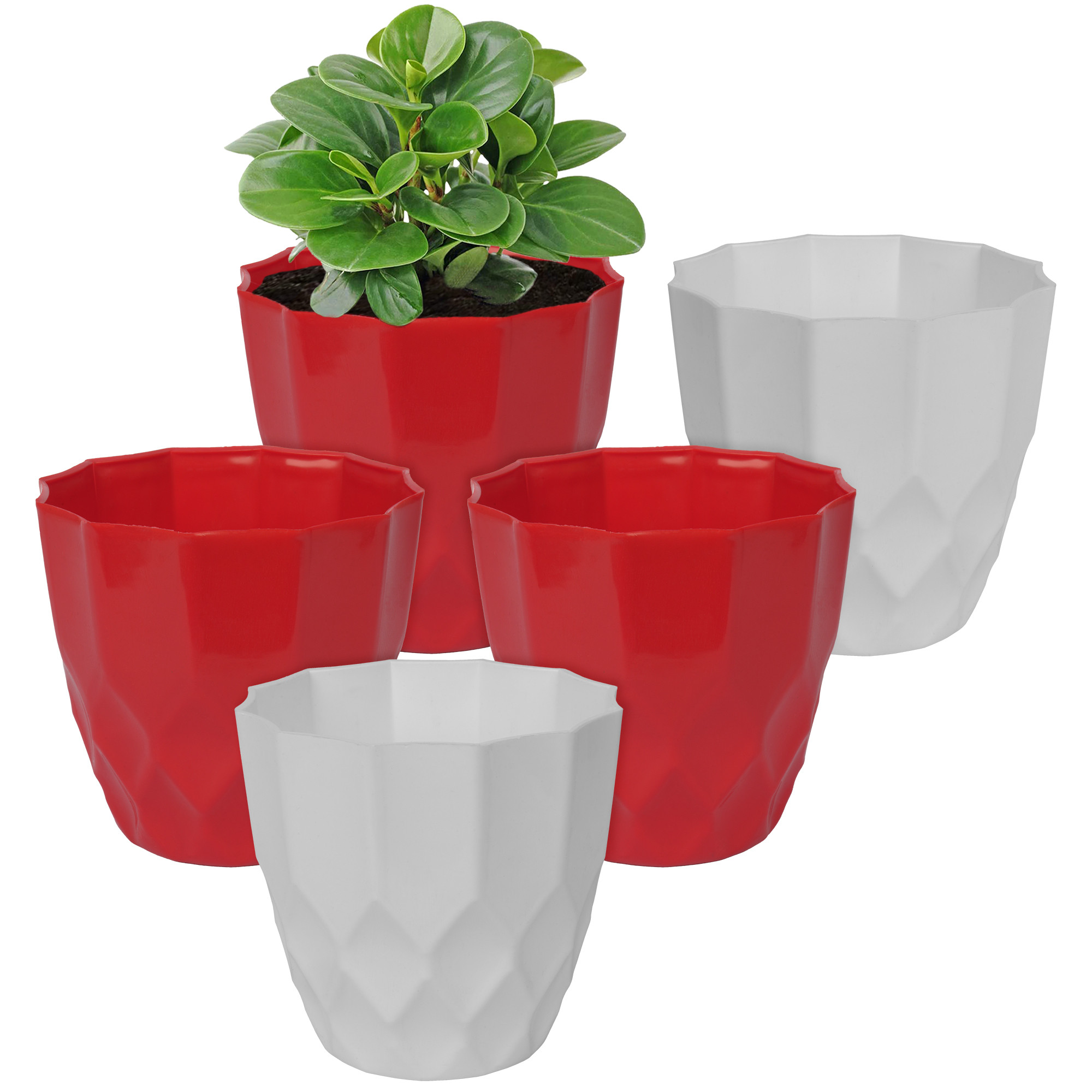 Kuber Industries Flower Pot | Flower Planter Pots for Indoor | Flower Pots for Outdoor | Pot for Garden & Balcony Flowering | Flower Plants Pot | Barfi Flower Pot | 6 Inch | Pack of 5 | Multi