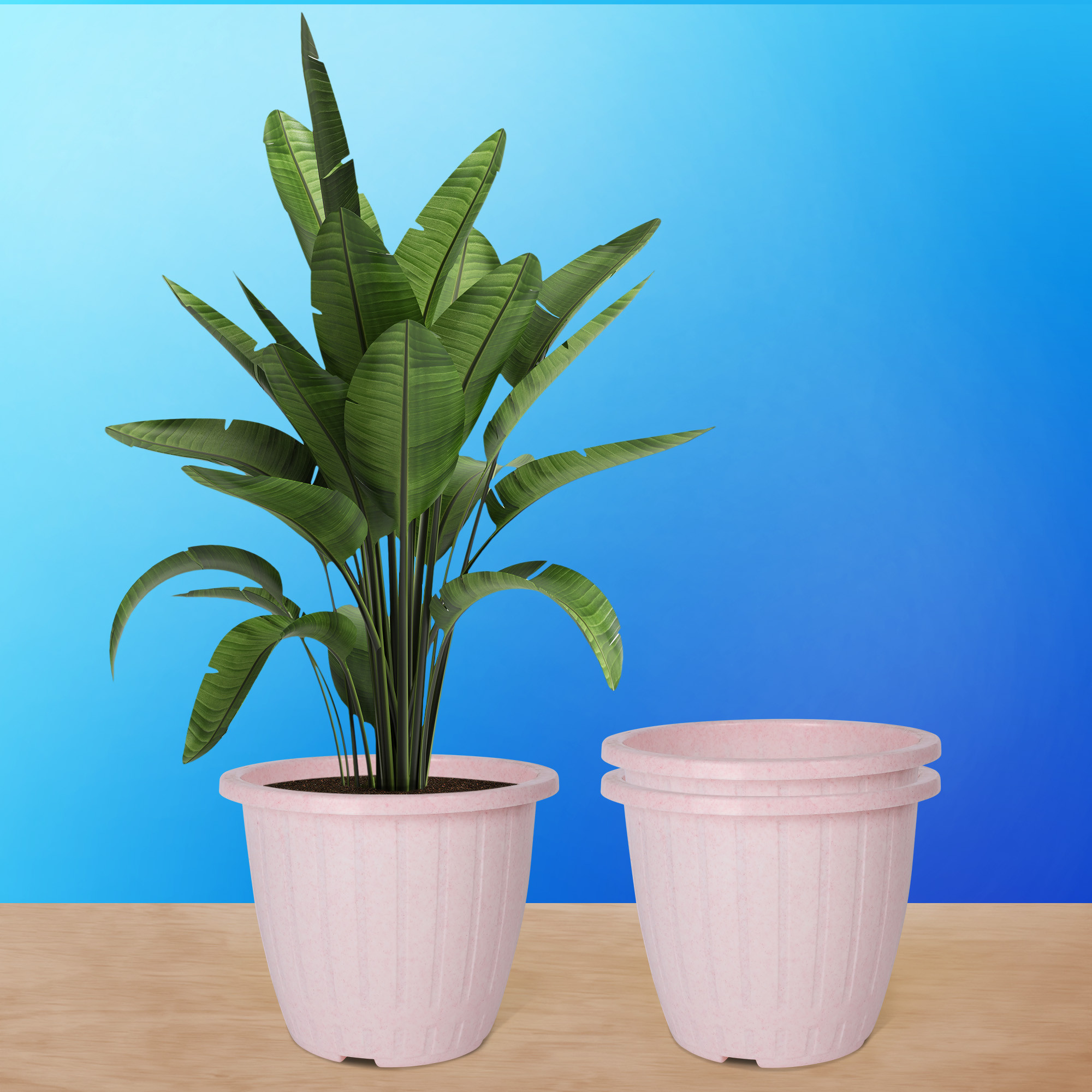 Kuber Industries Flower Pot | Flower Pot for Living Room | Flower Planters for Home-Lawns & Gardening | Window Planters | Flower Pots for Balcony | Marble Duro | 8 Inch | Pink