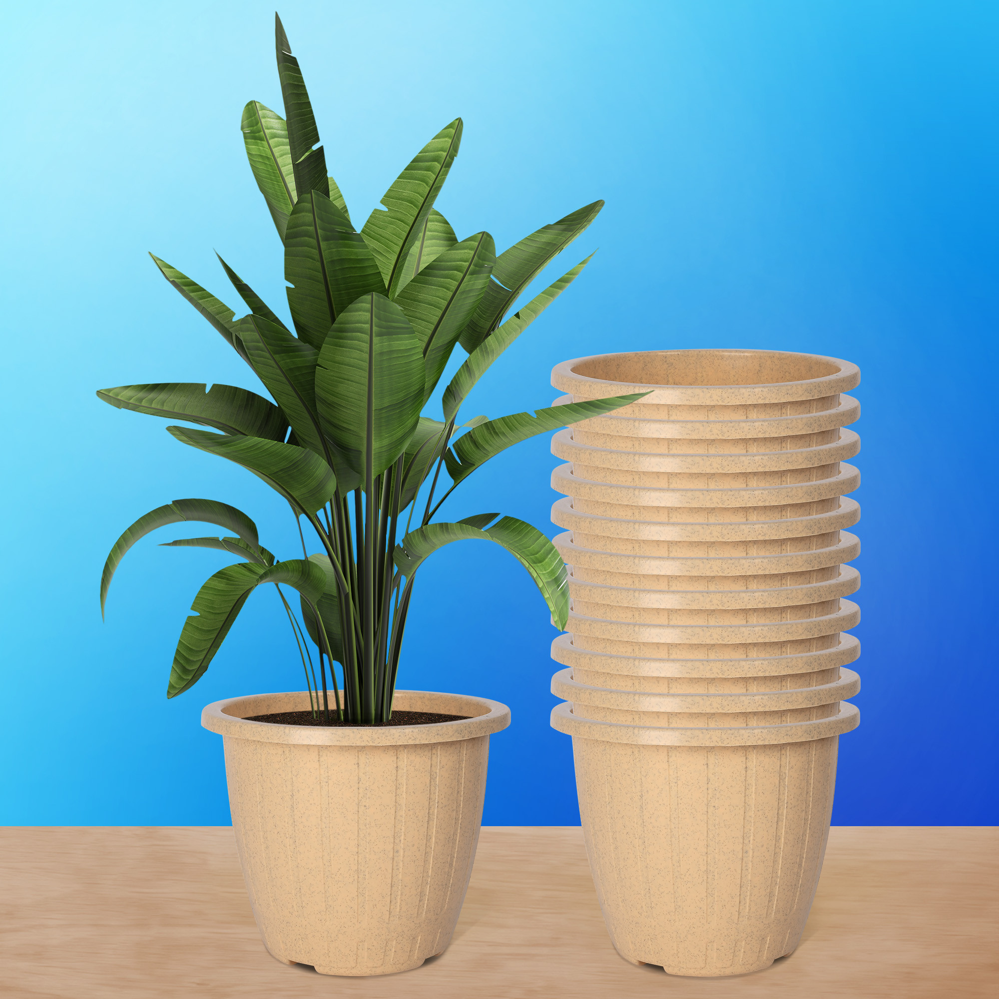Kuber Industries Flower Pot | Flower Pot for Living Room | Flower Planters for Home-Lawns & Gardening | Window Planters | Flower Pots for Balcony | Marble Duro | 8 Inch | Beige