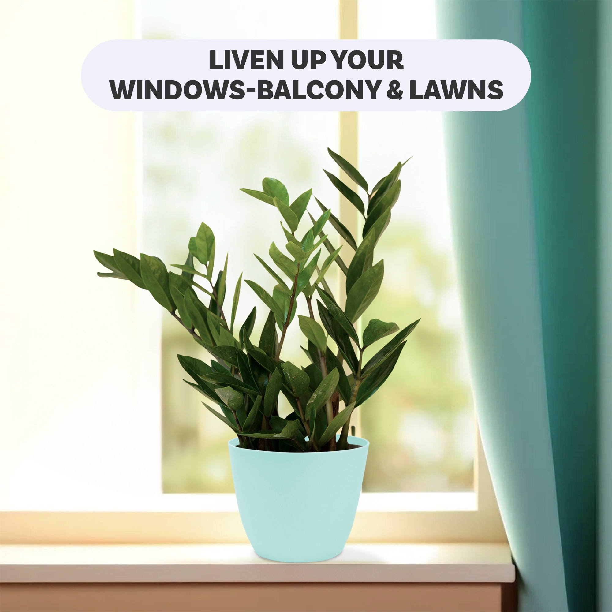 Kuber Industries Flower Pot | Flower Pot for Living Room-Office | Flower Planters for Home-office-Lawns & Garden Décor | Planters Pots for Balcony | Plain Cool | 5 Inch | Sky Blue & White