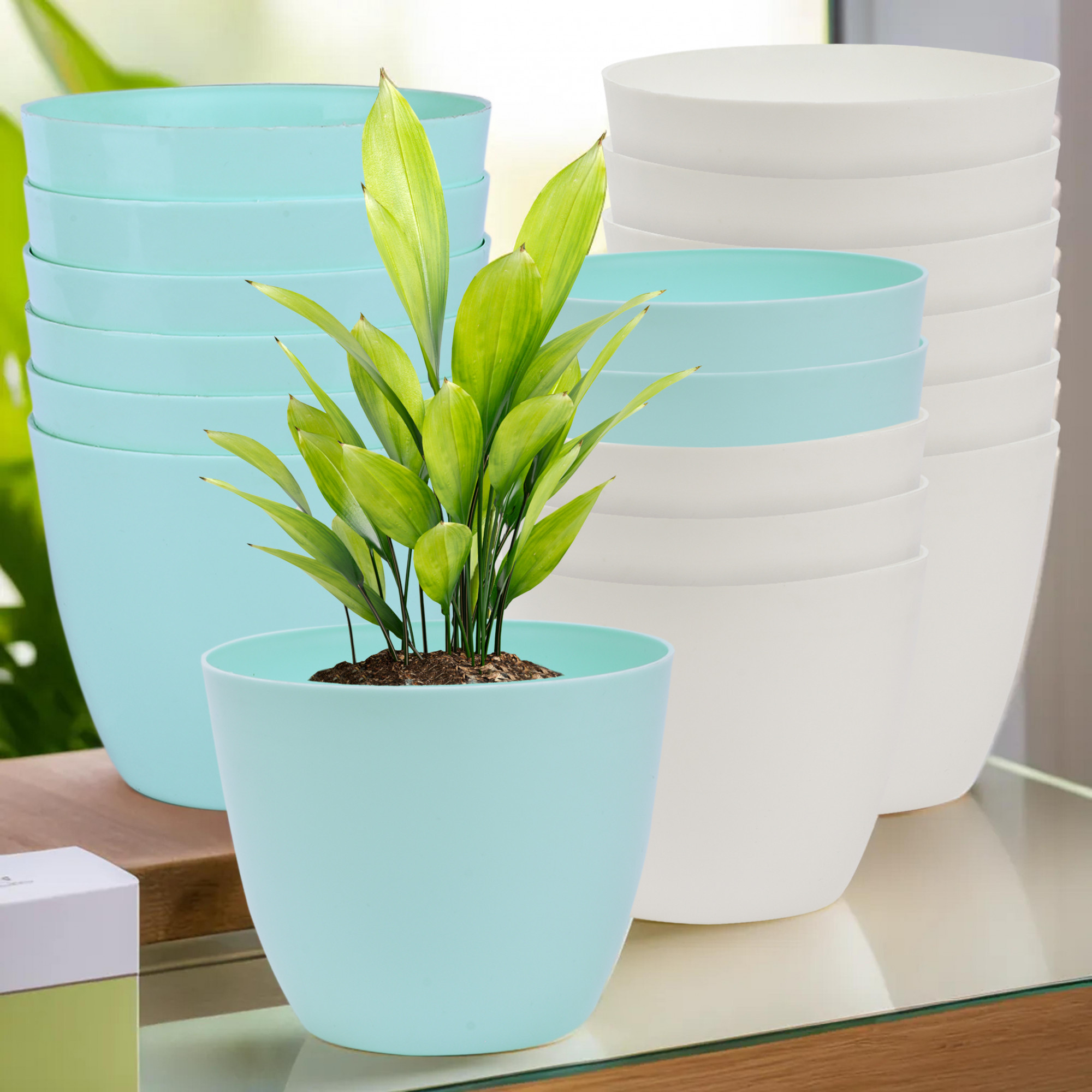 Kuber Industries Flower Pot | Flower Pot for Living Room-Office | Flower Planters for Home-office-Lawns & Garden Décor | Planters Pots for Balcony | Plain Cool | 5 Inch | Sky Blue & White