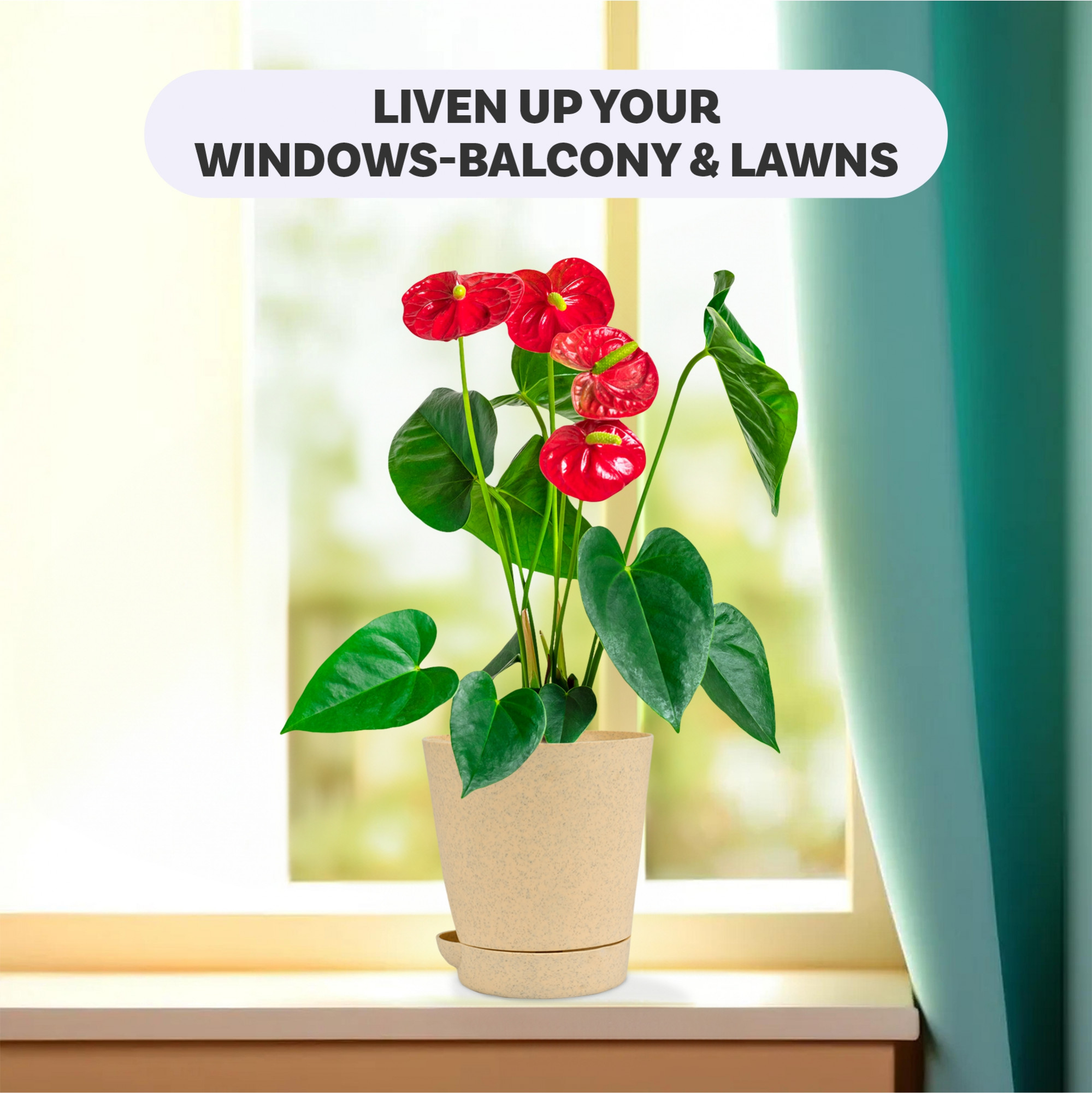 Kuber Industries Flower Pot | Flower Pot for Living Room-Office | Flower Planters for Home-office-Lawns & Garden Décor | Self Watering Flower Planters Pots | Marble Titan | 4 Inch | Beige