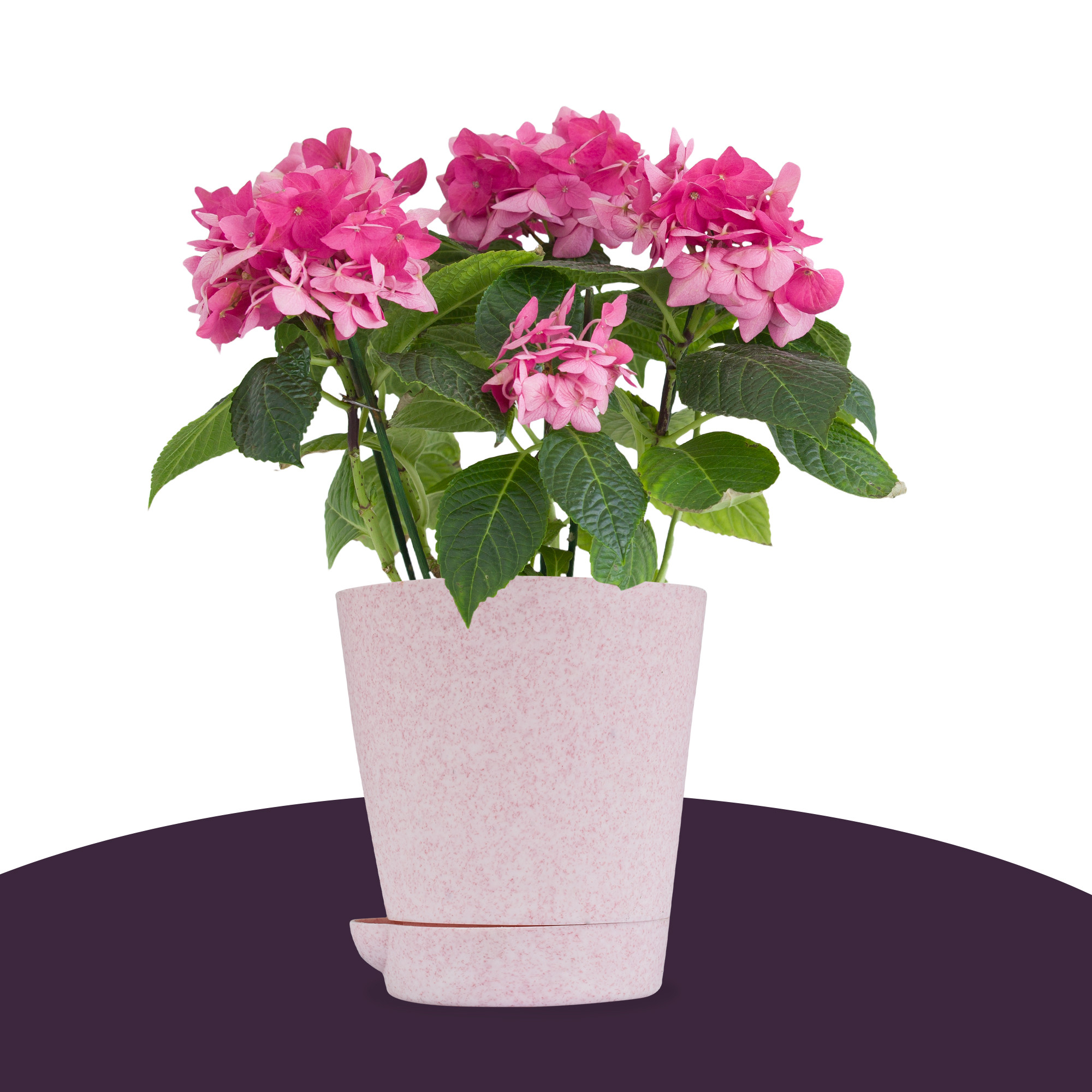 Kuber Industries Flower Pot | Flower Pot for Living Room-Office | Flower Planters for Home-office-Lawns & Garden Décor | Self Watering Flower Planters Pots | Marble Titan | 4 Inch | Pink