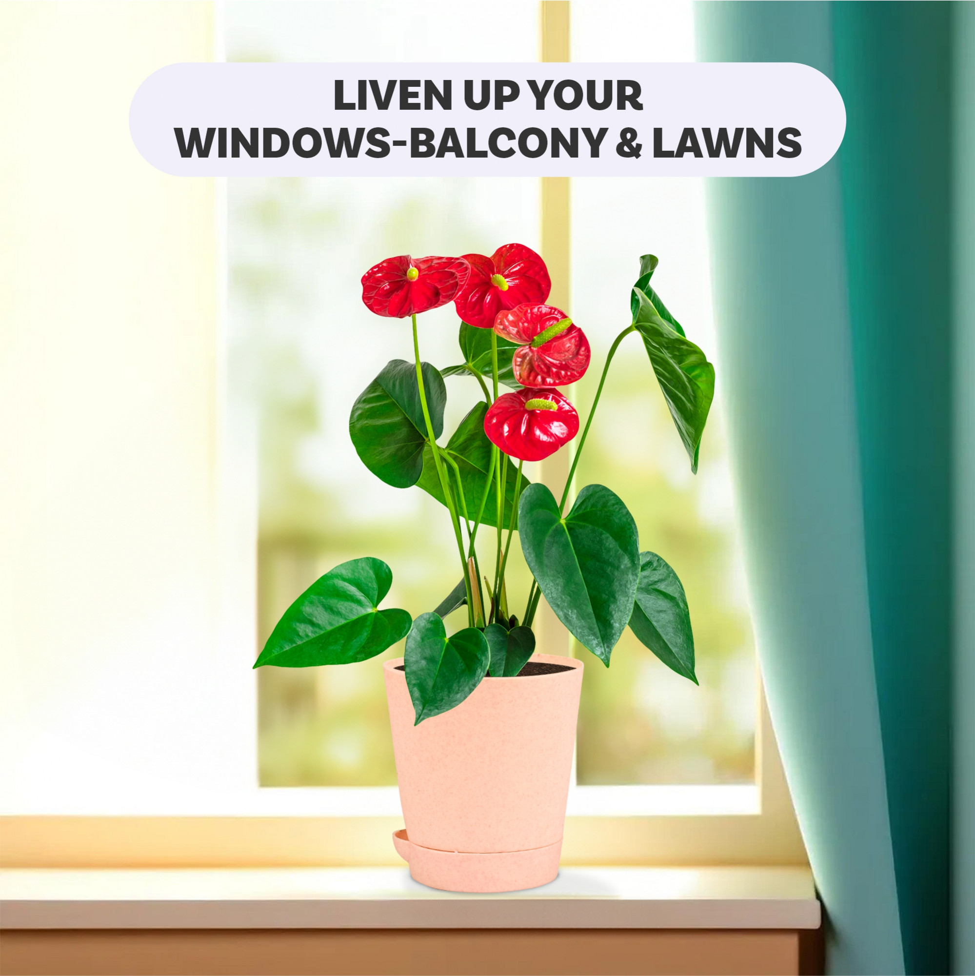 Kuber Industries Flower Pot | Flower Pot for Living Room-Office | Flower Planters for Home-office-Lawns & Garden Décor | Self Watering Flower Planters Pots | Marble Titan | 4 Inch | Peach