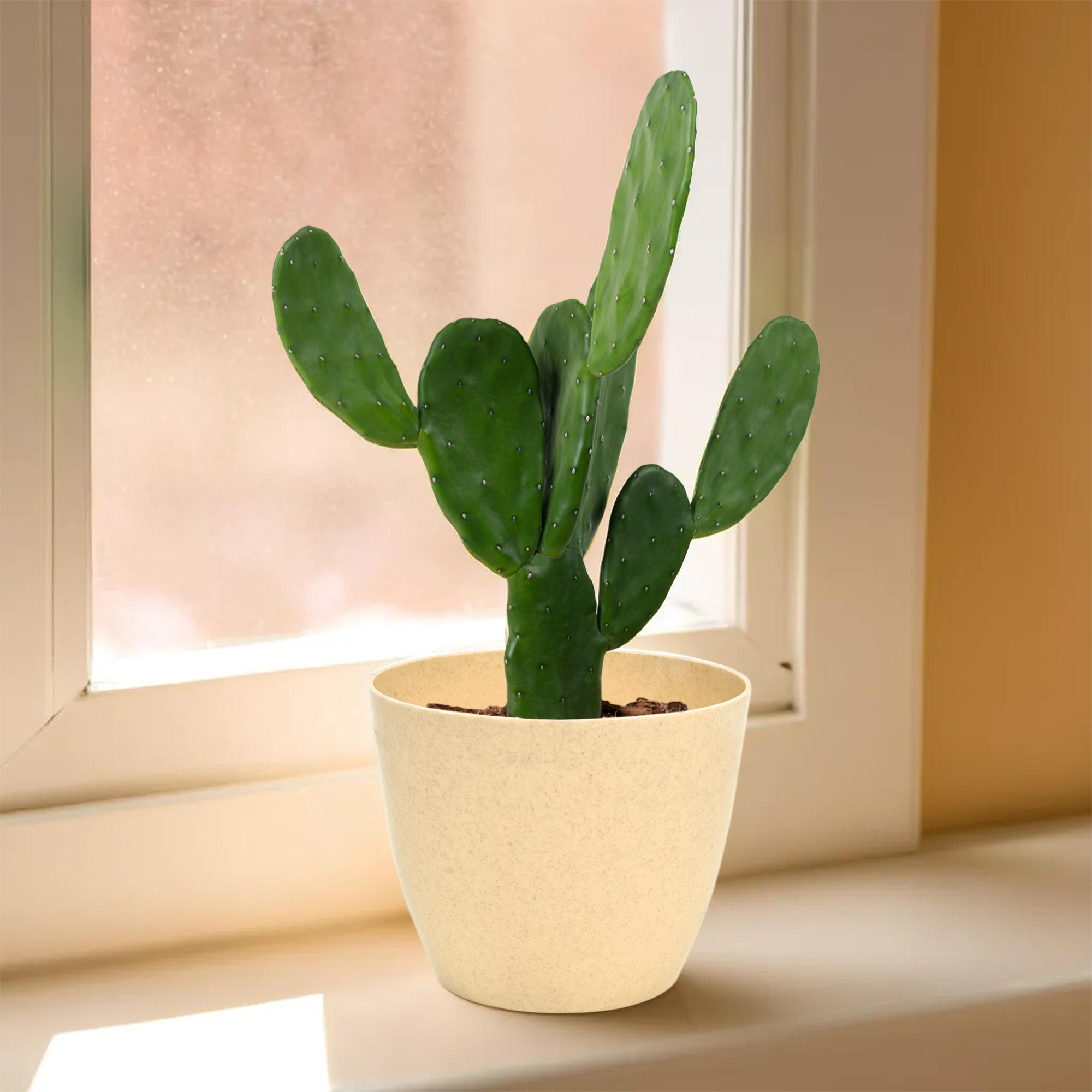 Kuber Industries Flower Pot | Flower Pot for Living Room-Office | Flower Planters for Home-office-Lawns & Garden Décor | Flower Planters Pots for Balcony | Marble Cool | 5 Inch | Beige