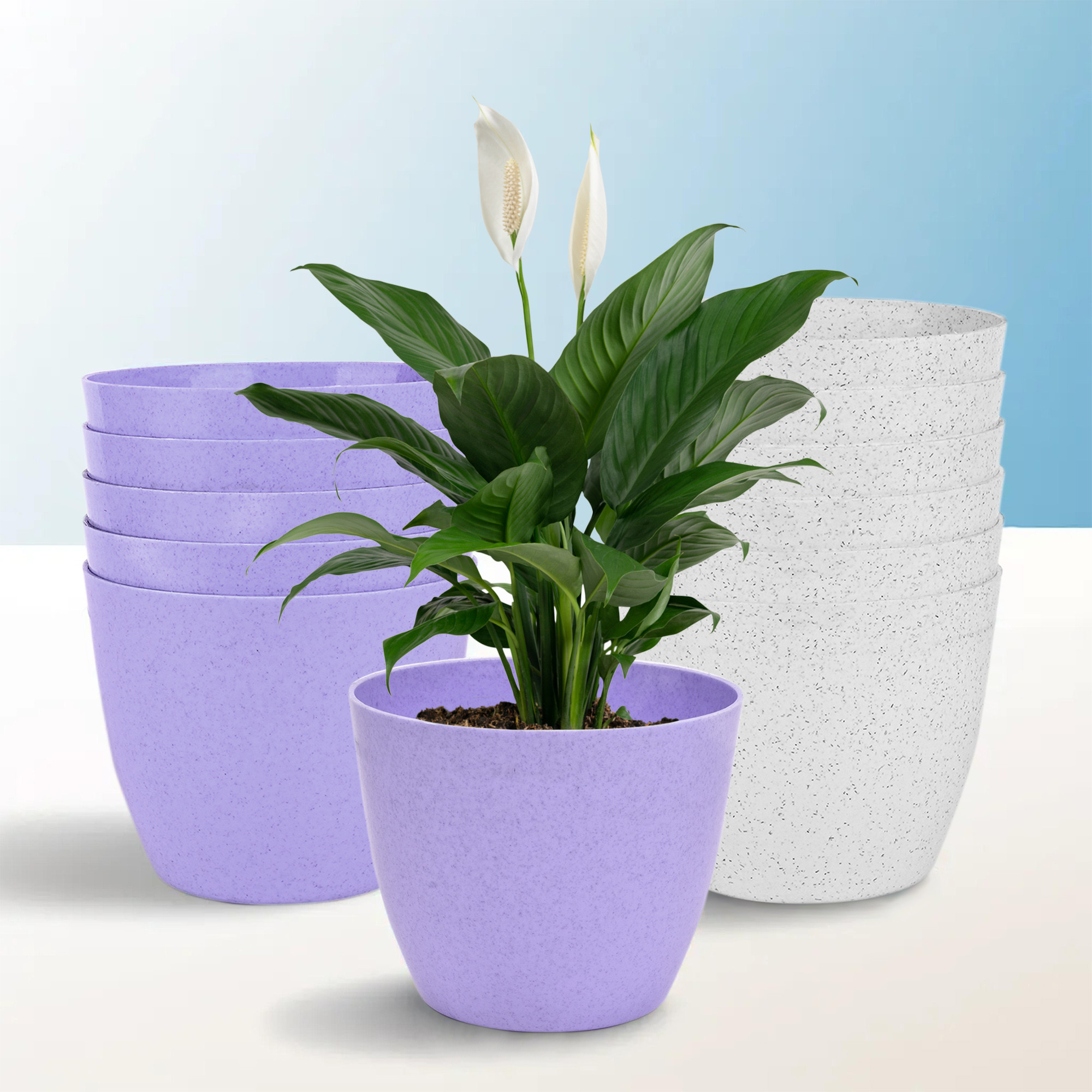 Kuber Industries Flower Pot | Flower Pot for Living Room-Office | Flower Planters for Home-office-Lawns & Garden Décor | Planters Pots for Balcony | Marble Cool | 5 Inch | Purple & White