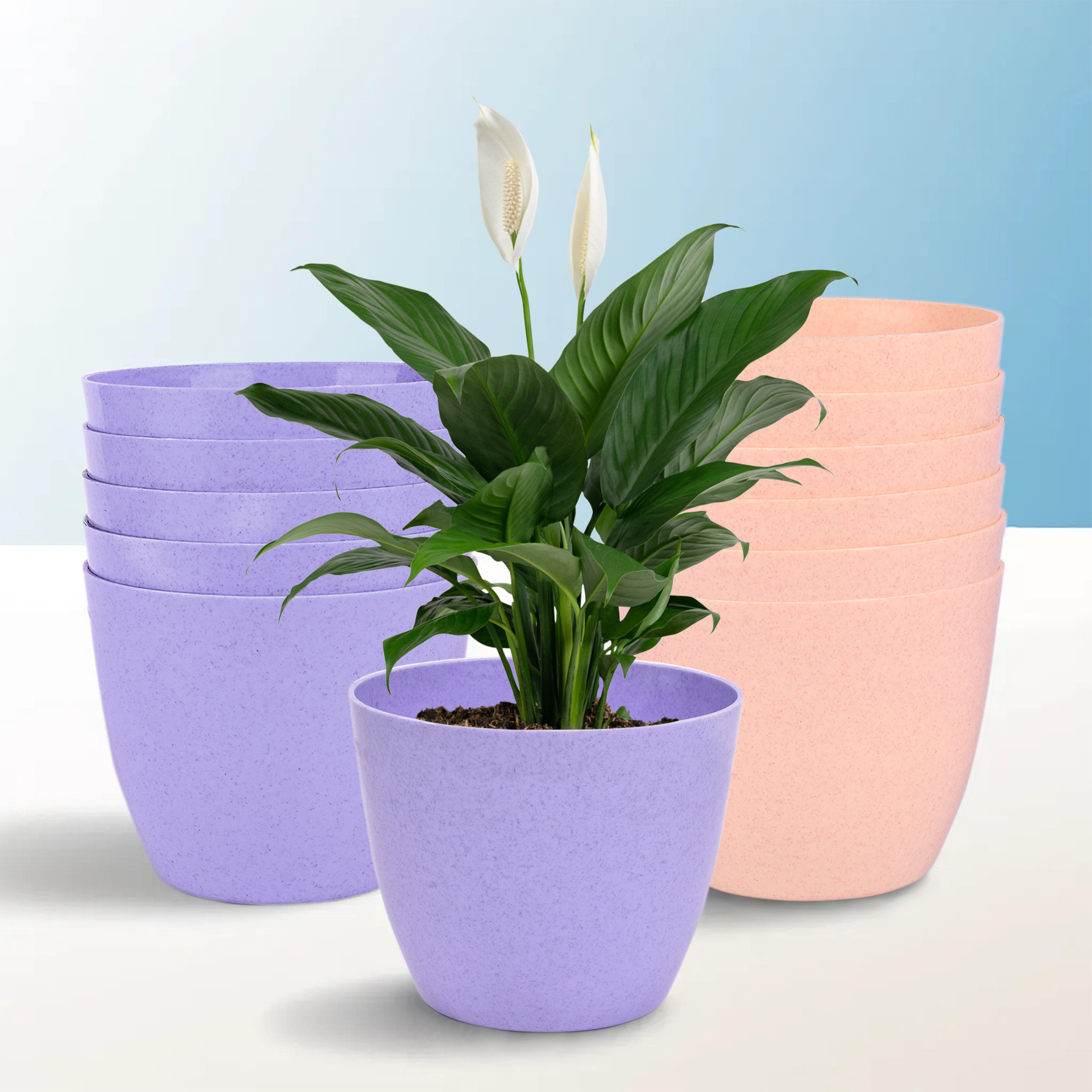 Kuber Industries Flower Pot | Flower Pot for Living Room-Office | Flower Planters for Home-office-Lawns & Garden Décor | Planters Pots for Balcony | Marble Cool | 5 Inch | Purple & Peach