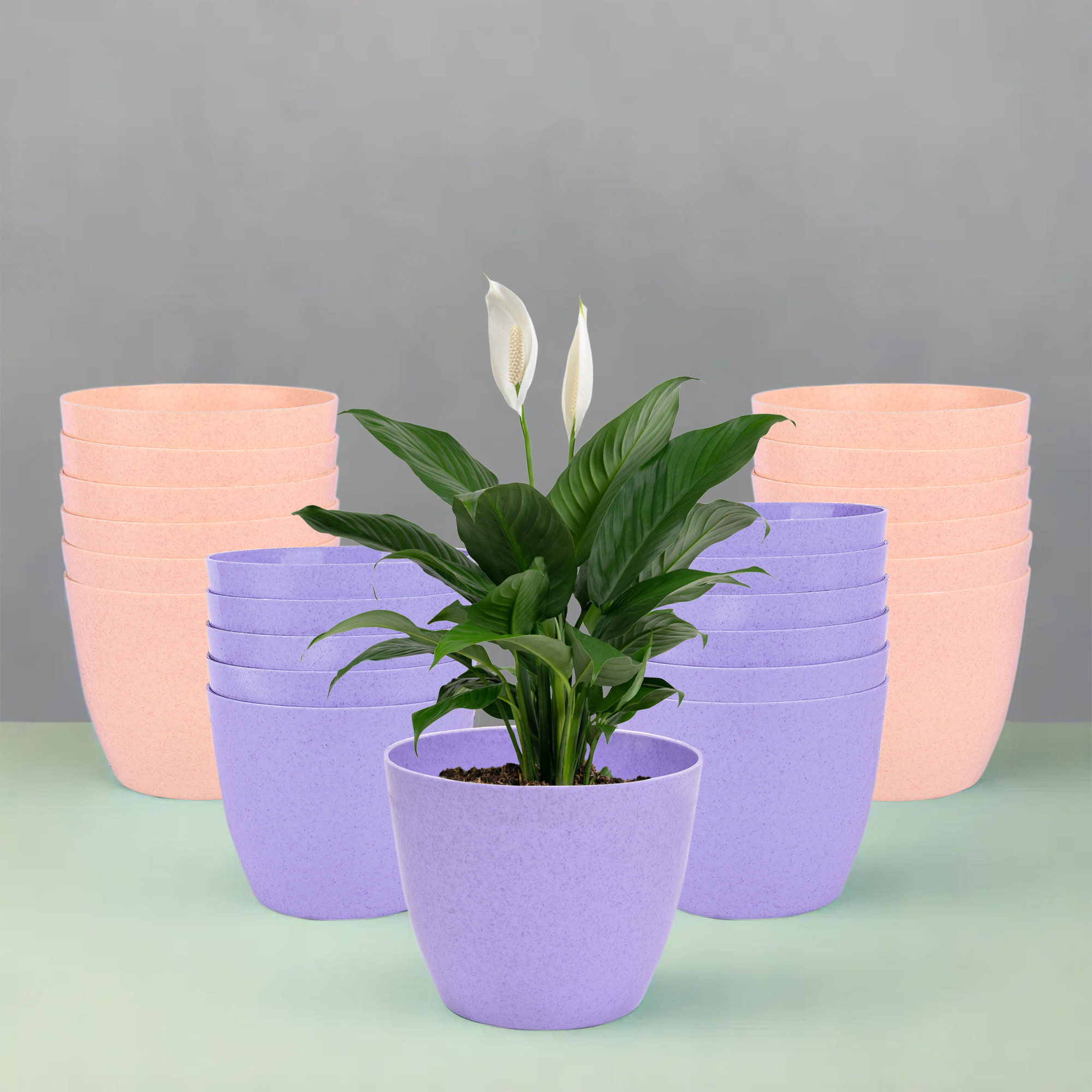 Kuber Industries Flower Pot | Flower Pot for Living Room-Office | Flower Planters for Home-office-Lawns & Garden Décor | Planters Pots for Balcony | Marble Cool | 5 Inch | Purple & Peach