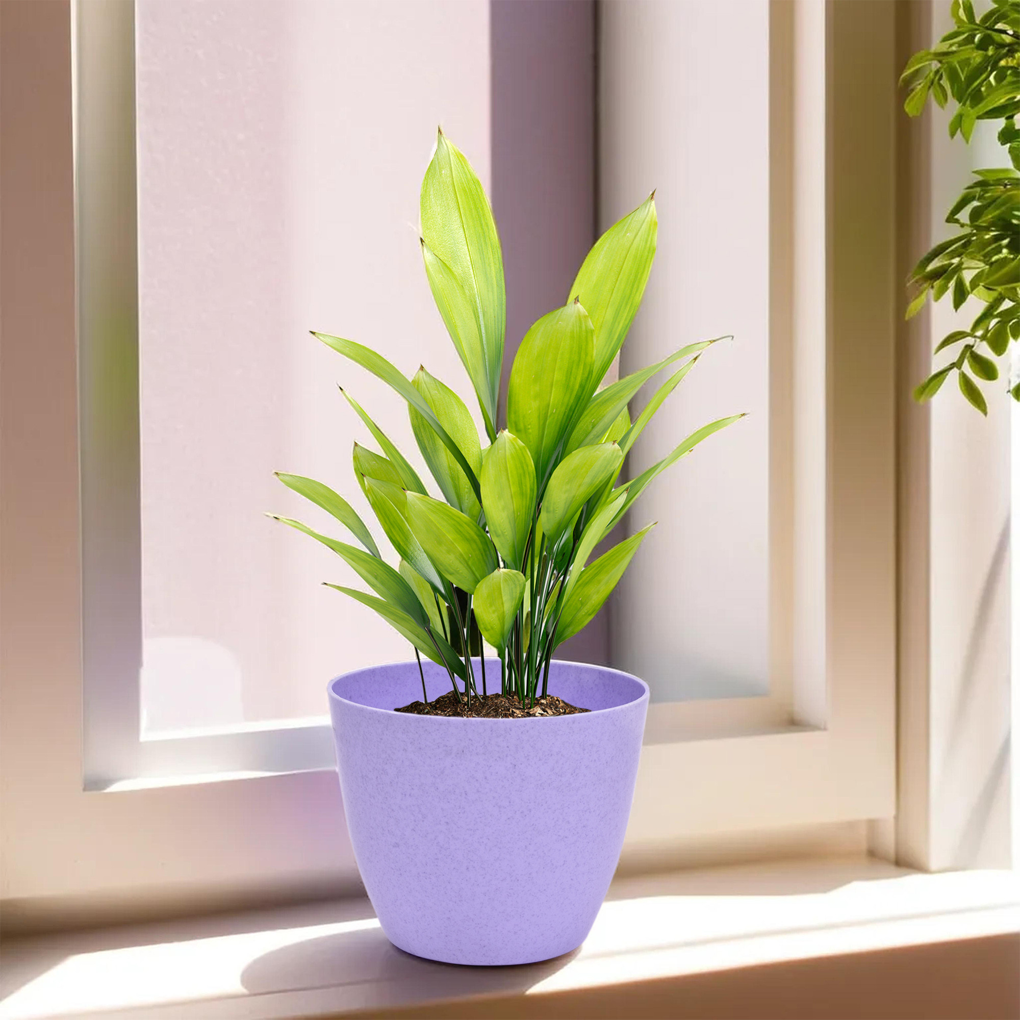 Kuber Industries Flower Pot | Flower Pot for Living Room-Office | Flower Planters for Home-office-Lawns & Garden Décor | Flower Pots for Balcony | Marble Cool | 5 Inch | Purple & Mint Green