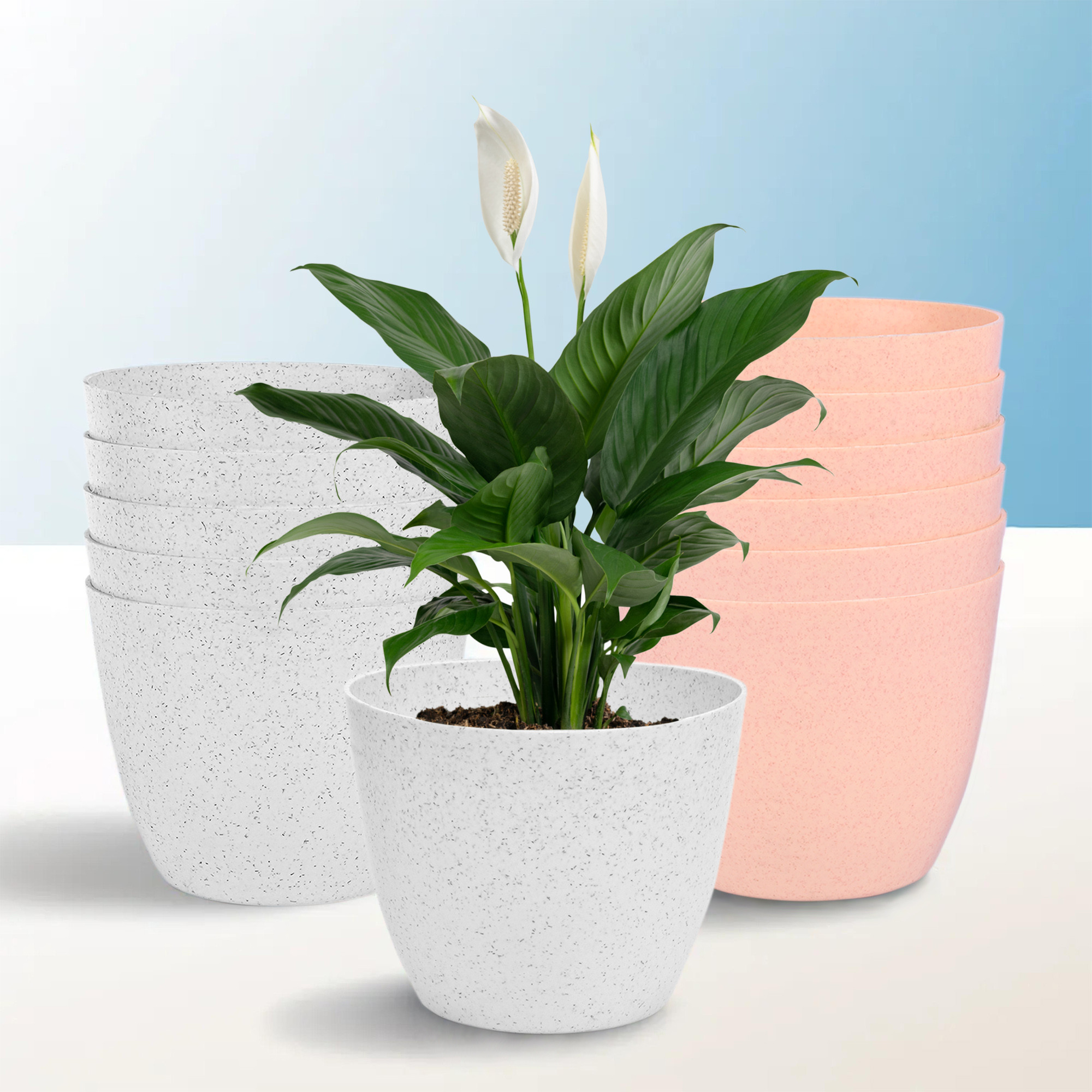 Kuber Industries Flower Pot | Flower Pot for Living Room-Office | Flower Planters for Home-office-Lawns & Garden Décor | Planters Pots for Balcony | Marble Cool | 5 Inch | White & Peach