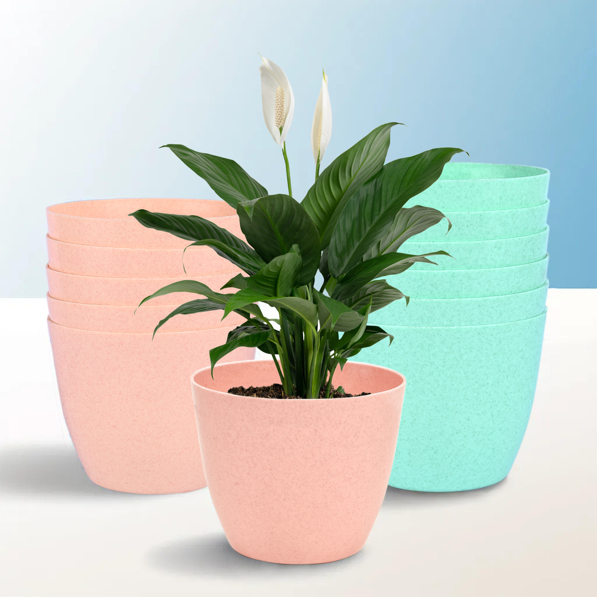 Kuber Industries Flower Pot | Flower Pot for Living Room-Office | Flower Planters for Home-office-Lawns & Garden Décor | Flower Pots for Balcony | Marble Cool | 5 Inch | Peach & Mint Green