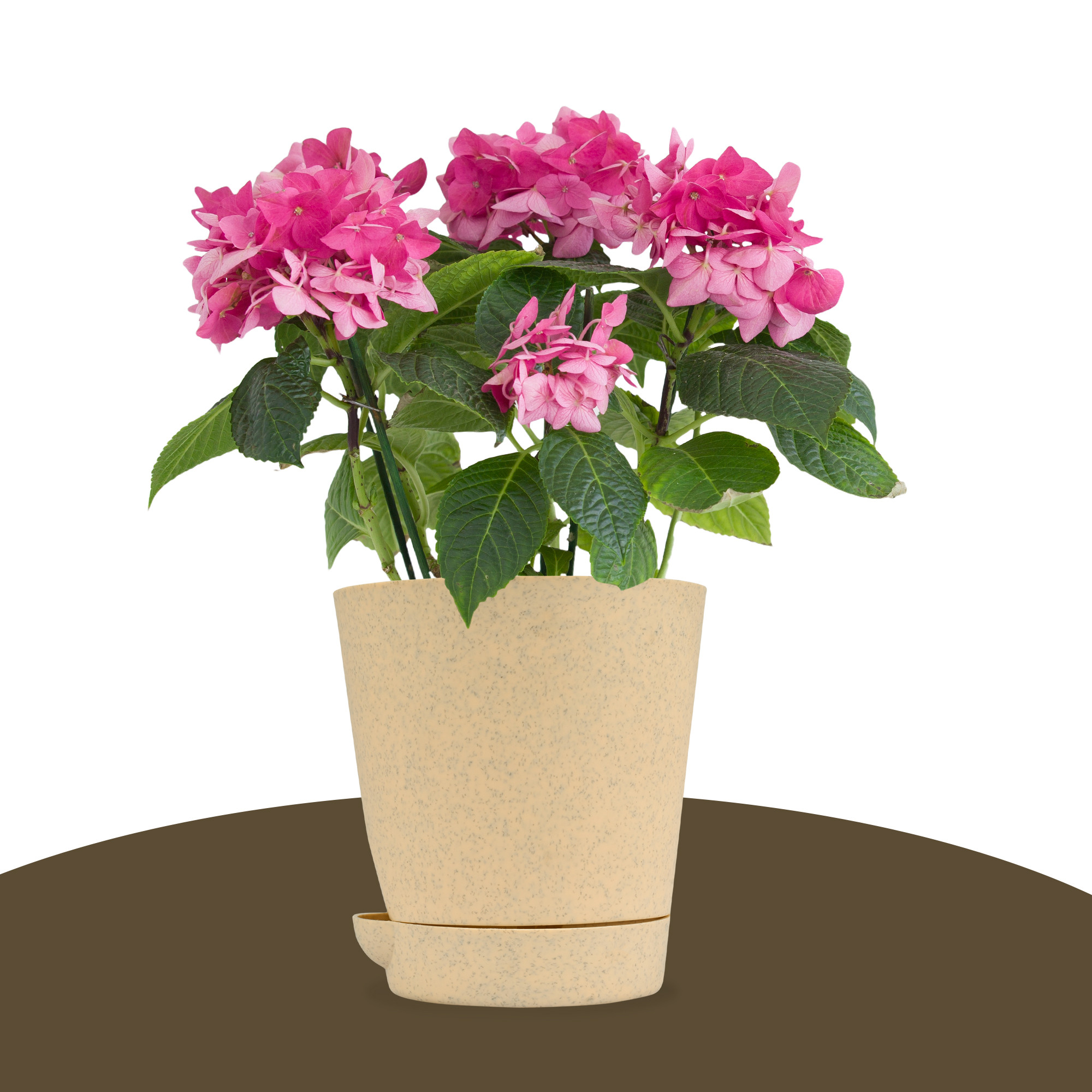 Kuber Industries Flower Pot | Flower Pot for Living Room-Office | Planters for Home-office-Lawns & Garden Décor | Self Watering Flower Planters Pots | Marble Titan | 4 Inch | Beige & Pink