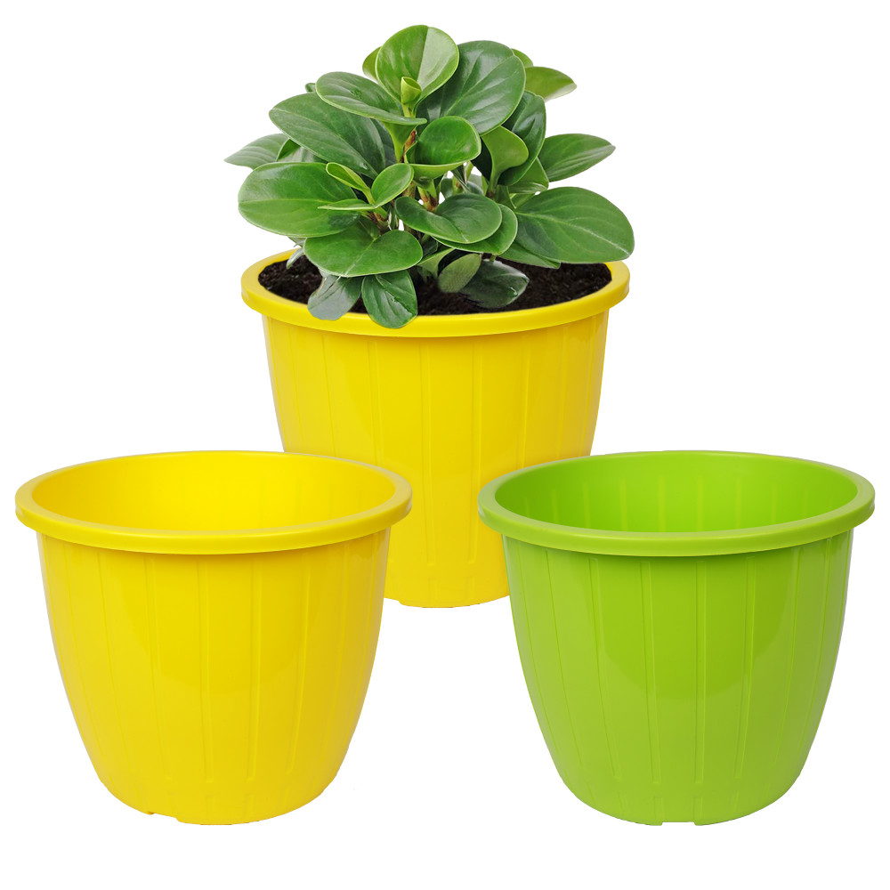 Kuber Industries Flower Pot | Flower Pots for Indoor &amp; Outdoor | Plastic Pot for Gardening | Planter for Flower | Balcony Flower Pot with Drain Holes | Duro Flower Pot | 6 Inch | Pack of 3 | Multi