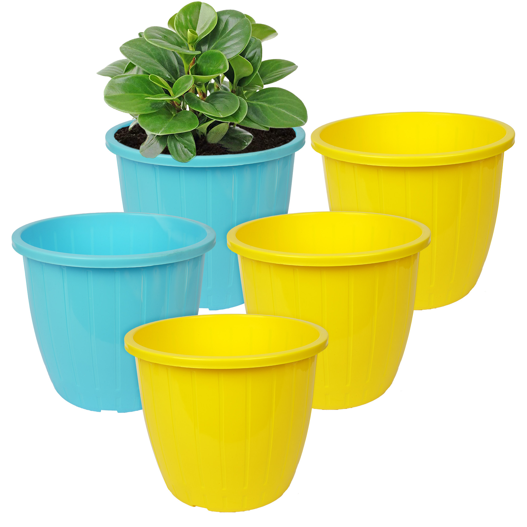 Plastic pots discount