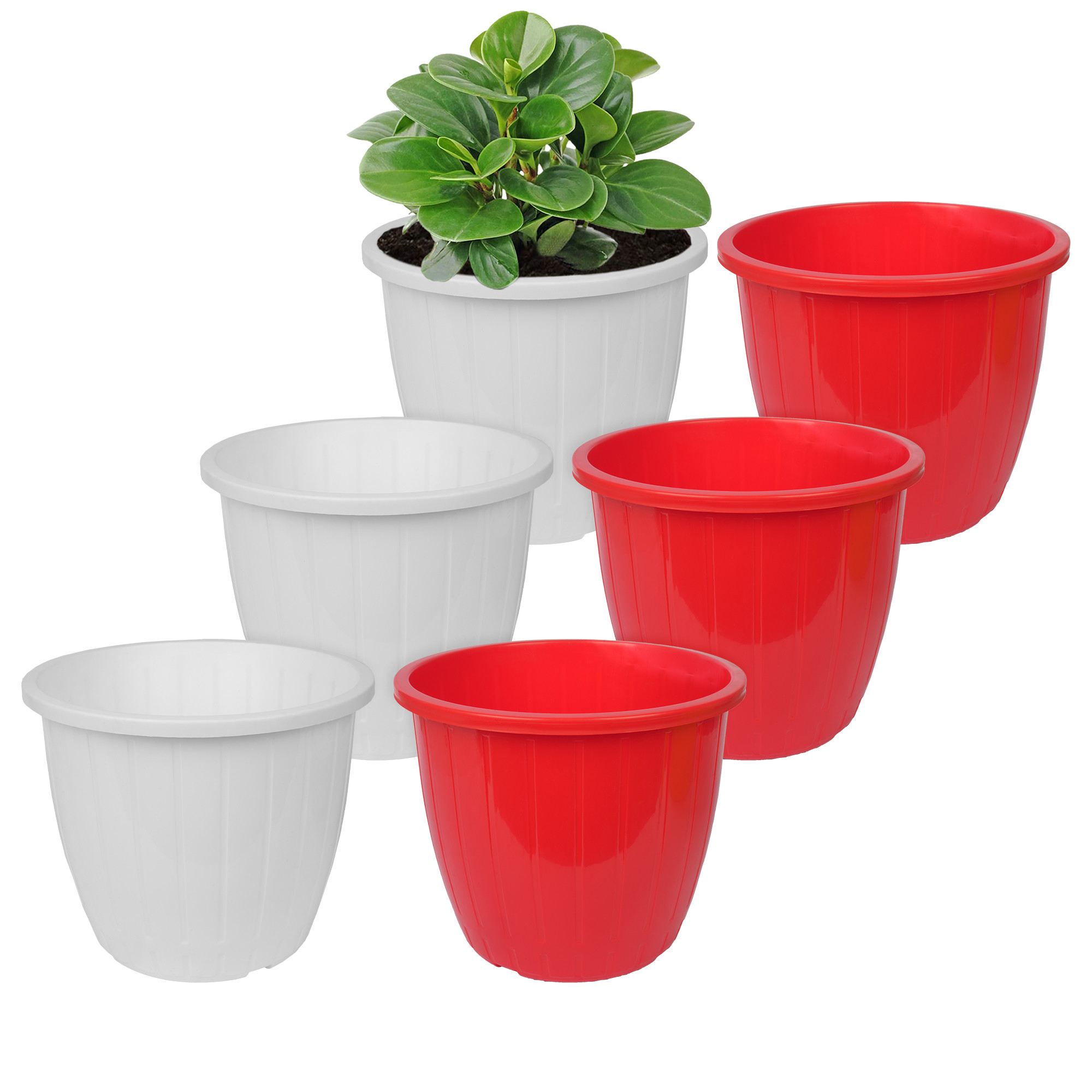 Kuber Industries Flower Pot | Flower Pots for Indoor & Outdoor | Plastic Pot for Gardening | Planter for Flower | Balcony Pots for Home Decor | Duro Flower Pot | 8 Inch | Pack of 6 | Multi
