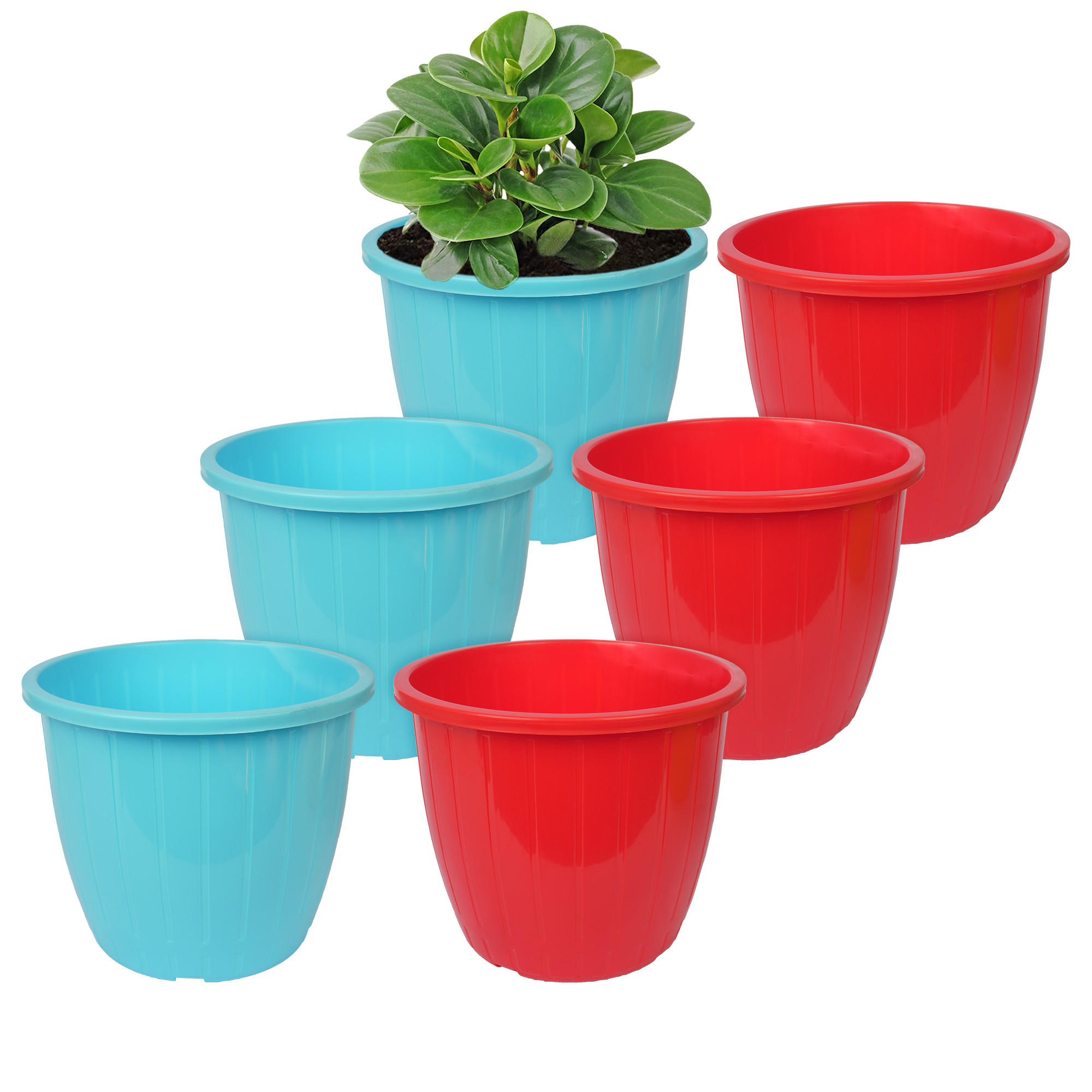 Kuber Industries Flower Pot | Flower Pots for Indoor & Outdoor | Plastic Pot for Gardening | Planter for Flower | Balcony Pots for Home Decor | Duro Flower Pot | 8 Inch | Pack of 6 | Multi