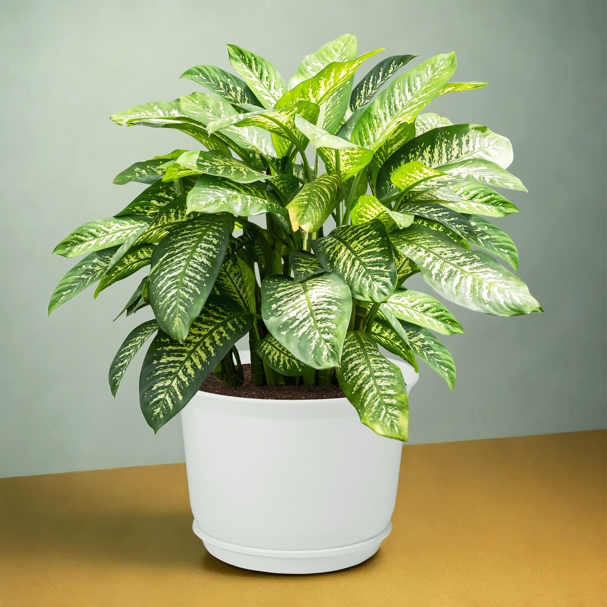 Kuber Industries Flower Pot with Bottom Tray | Flower Planter Pots | Planters for Home-Lawns & Garden | Flower Planter for Balcony | Plain Sawera | 10 Inch | White & Gray