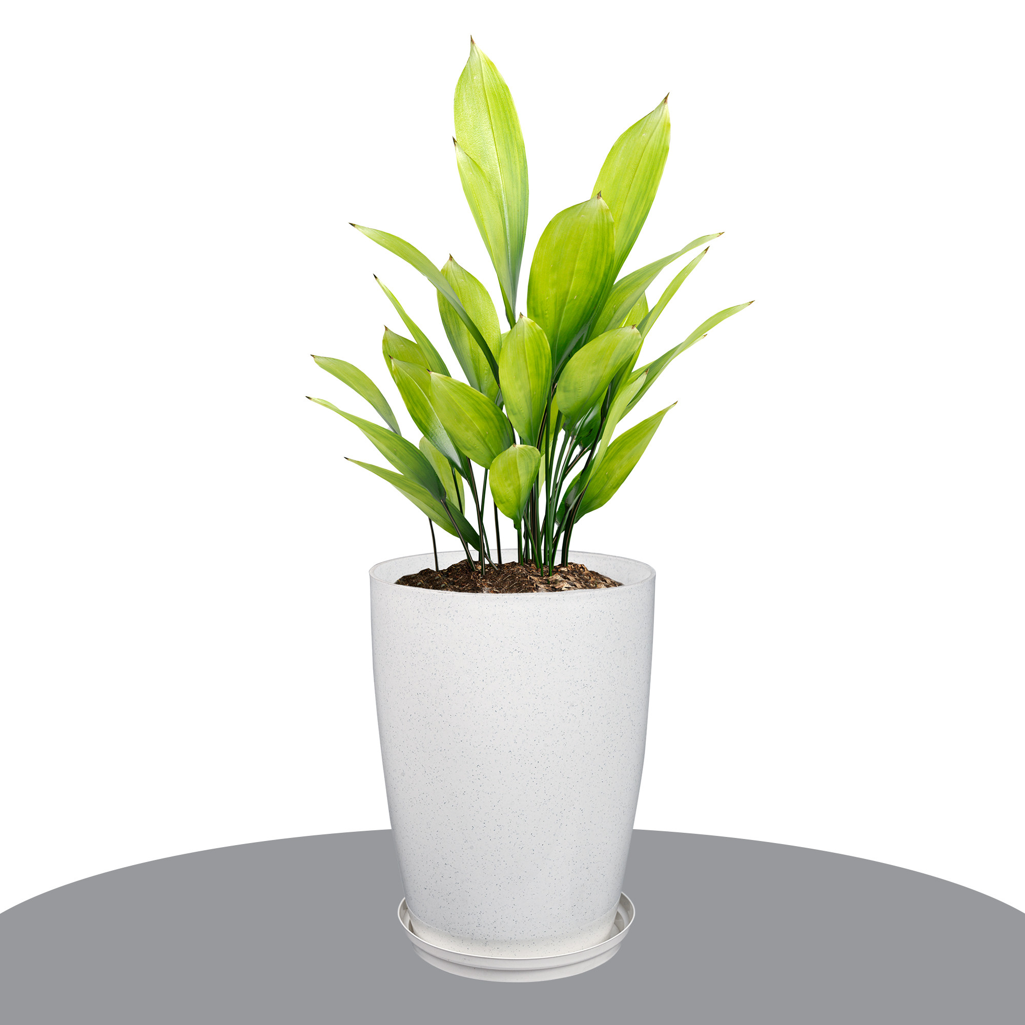 Kuber Industries Flower Pot with Plate  14 Inch Indoor-Outdoor Plants Stand  Flower Pot for Home-Office  Flower Pot for Garden  Flower Gamla for Balcony  Marble Tower  White