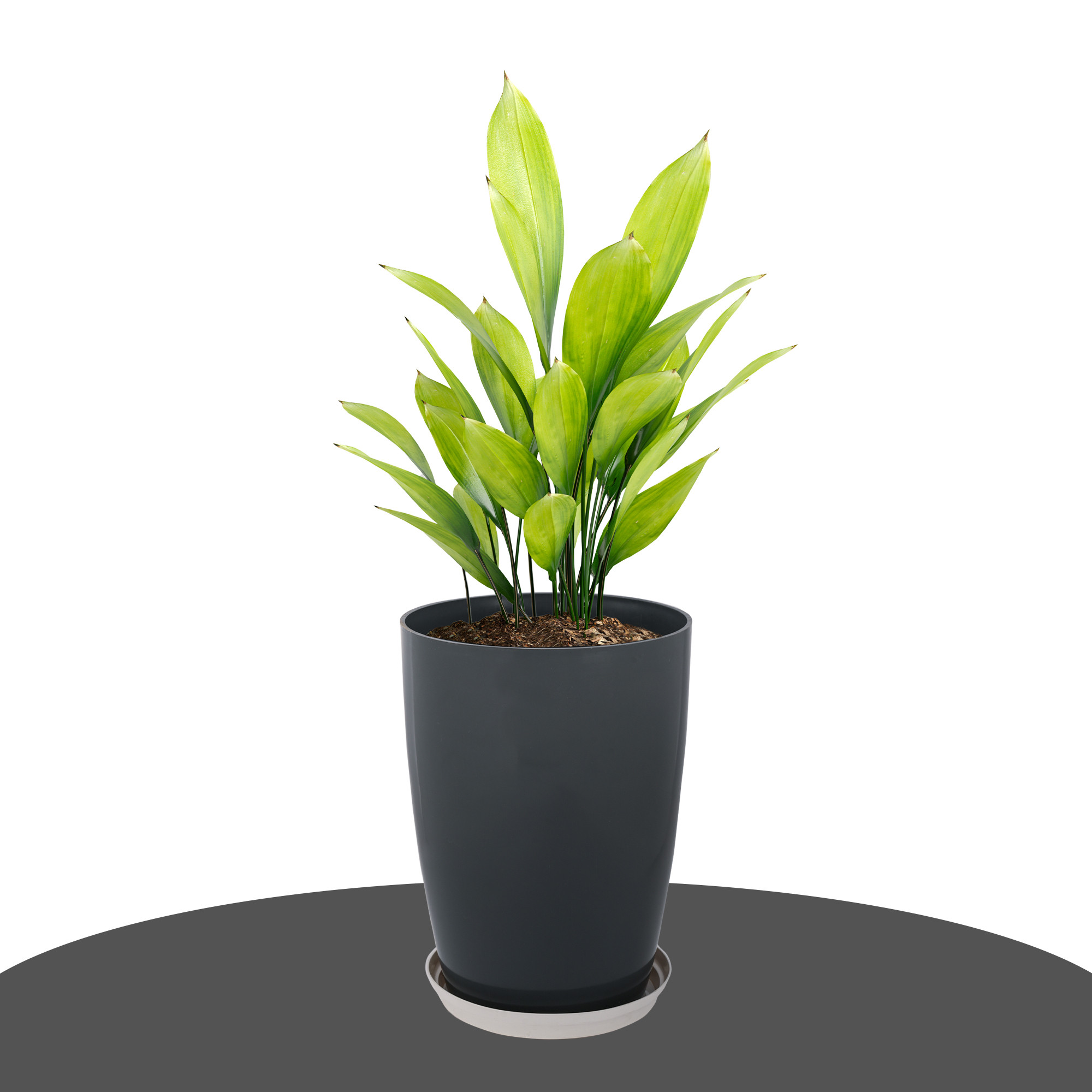 Kuber Industries Flower Pot with Plate  14 Inch Indoor-Outdoor Plants Stand  Flower Pot for Home-Office  Flower Pot for Garden  Flower Gamla for Balcony  Plain Tower  Grey