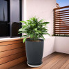 Flower Pot with Plate | 14 Inch Indoor-Outdoor Plants Stand | Flower Pot for Home-Office | Flower Pot for Garden | Flower Gamla for Balcony | Plain Tower | Grey