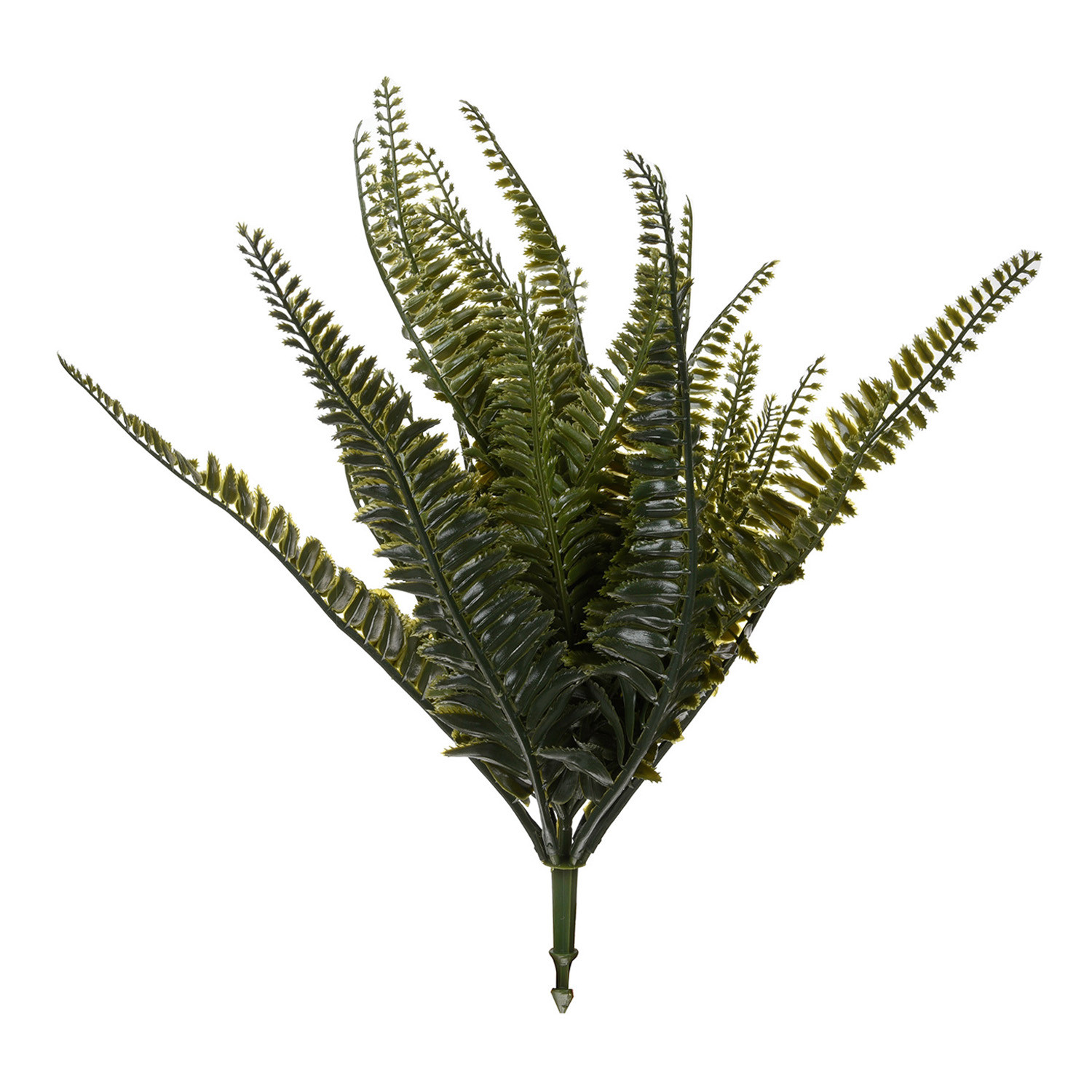 Kuber Industries Flowers Fern | Artificial Flowers Fern | Flower Fern Orchid for Vase Pot | Artificial Flower for Home Décor | Orchids Artificial Flower for Vase | Green