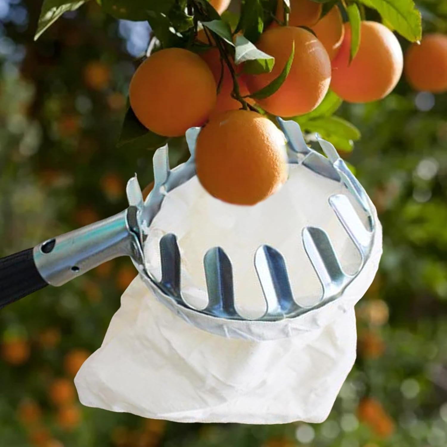 Kuber Industries Fruit Picker With Cotton Bag|Fruit, Mango, Coconut Plucker|Fruit Picking Tool, Basket For Garden (White)