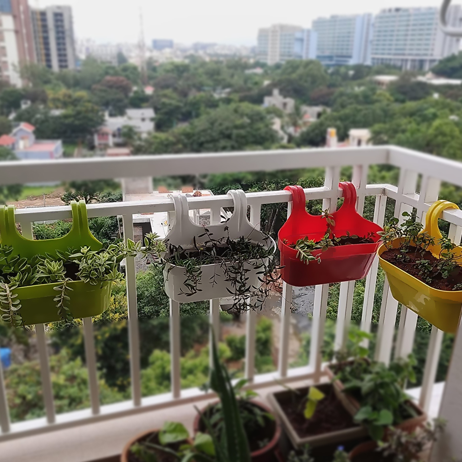 Kuber Industries Hanging Flower Pot|Double Hook Plant Container|Durable Plastic Glossy Finish Pots for Home|Balcony|Garden|12 Inch|Pack of 4 (Multicolor)