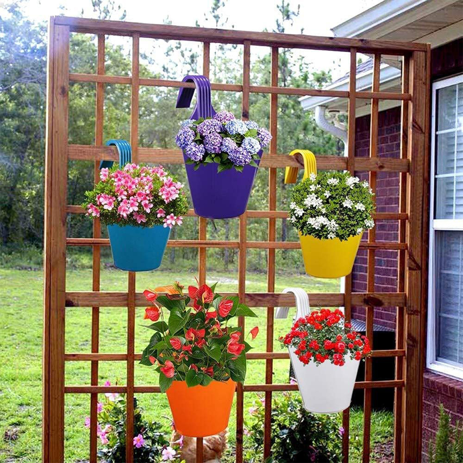 Kuber Industries Hanging Flower Pot|Single Hook Plant Container|Durable Plastic Glossy Finish Pots for Home|Balcony|Garden|9 Inch|Pack of 4 (Multicolor)