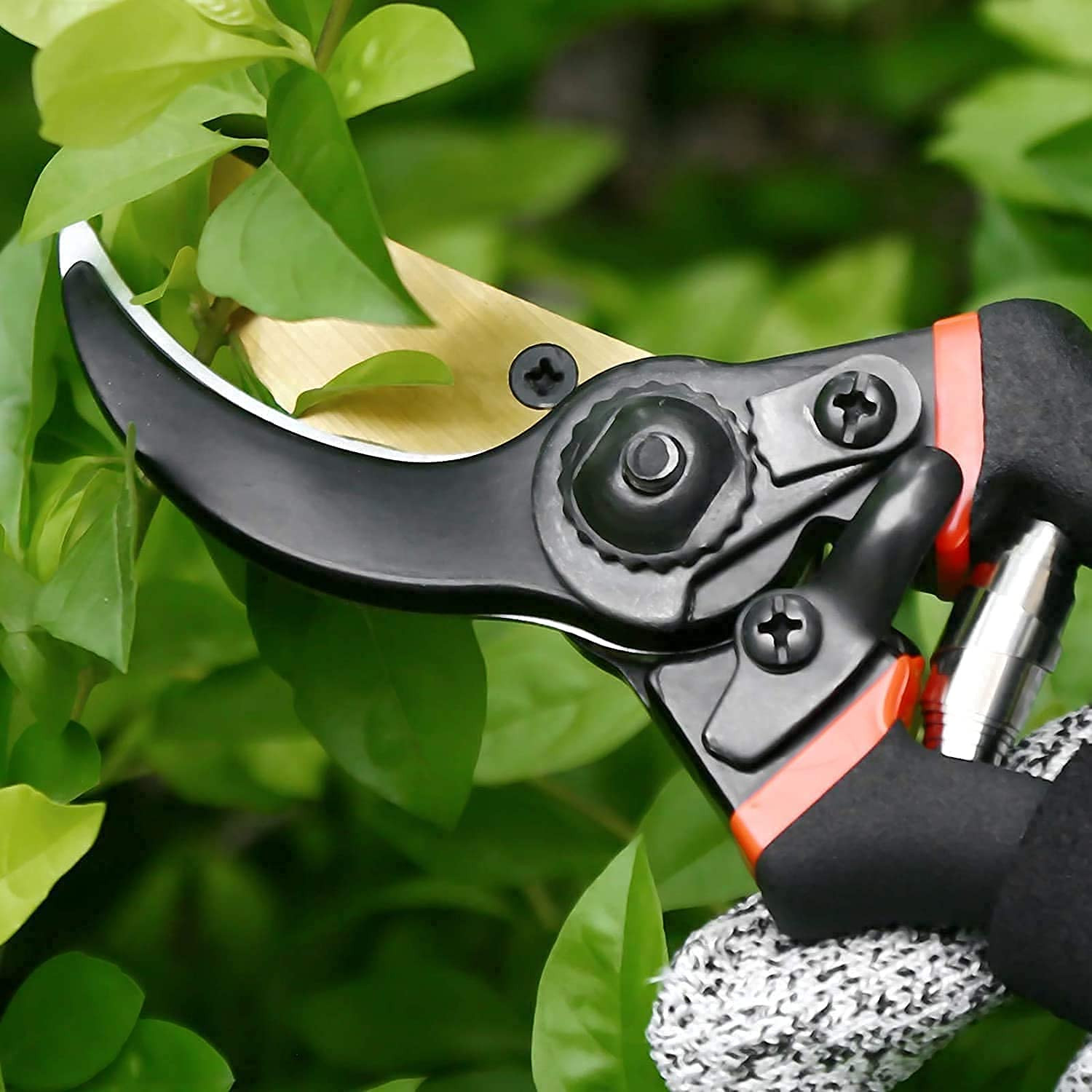 Kuber Industries Heavy Duty Gardening Shears|Black |FB8621B